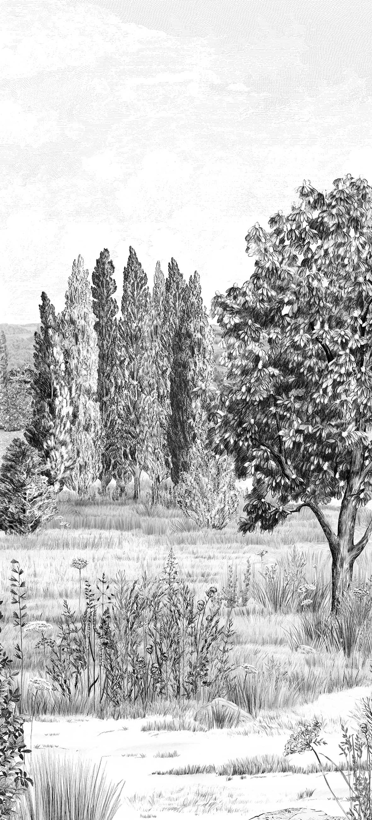 Papier peint panoramique Campagne Grisaille B 4/5/6 - Isidore Leroy