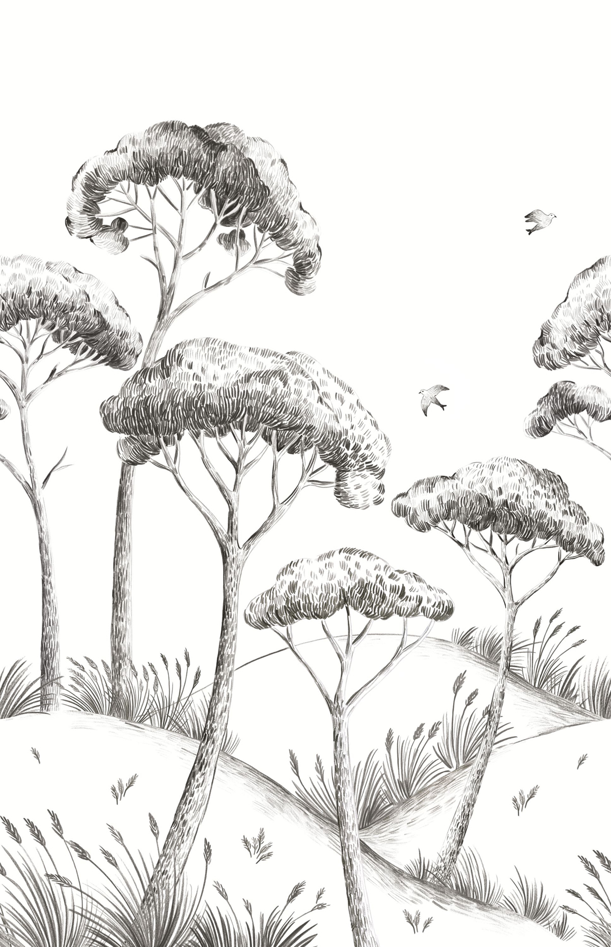 Papier peint panoramique Paysage Pinea noir et blanc - Moonlight 2 de Casélio AMB | Réf. MLGT104170967