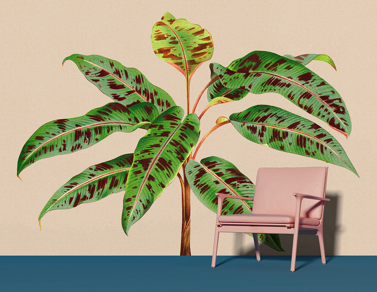 Papier peint panoramique Walls by Patel 3 - Référence DD121960 - Intissé 200g/m2 - 400 x 270 cm