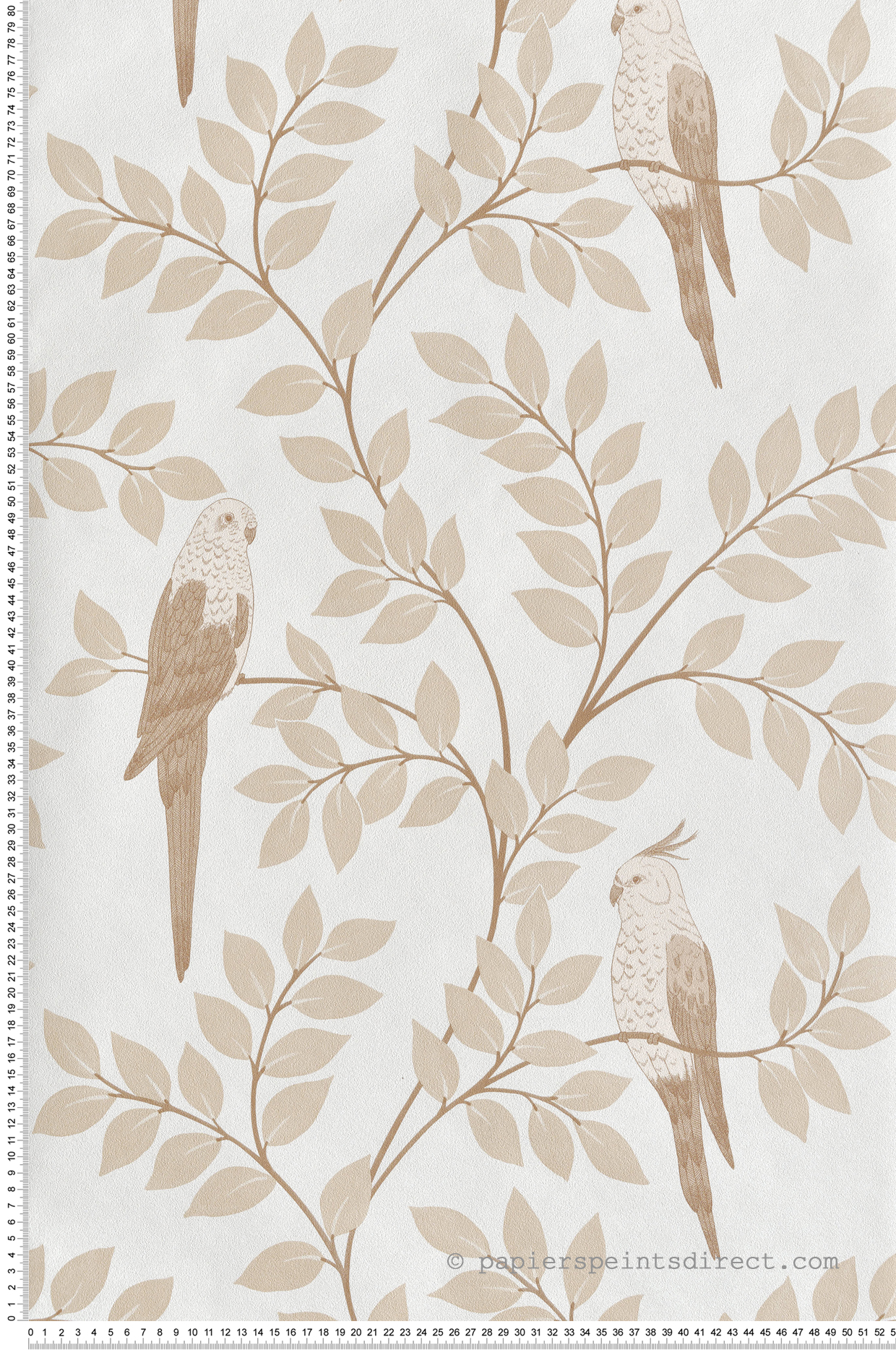 Papier peint Oiseau Jungle Equateur beige - Borneo de Casélio | Réf. BORN106521000