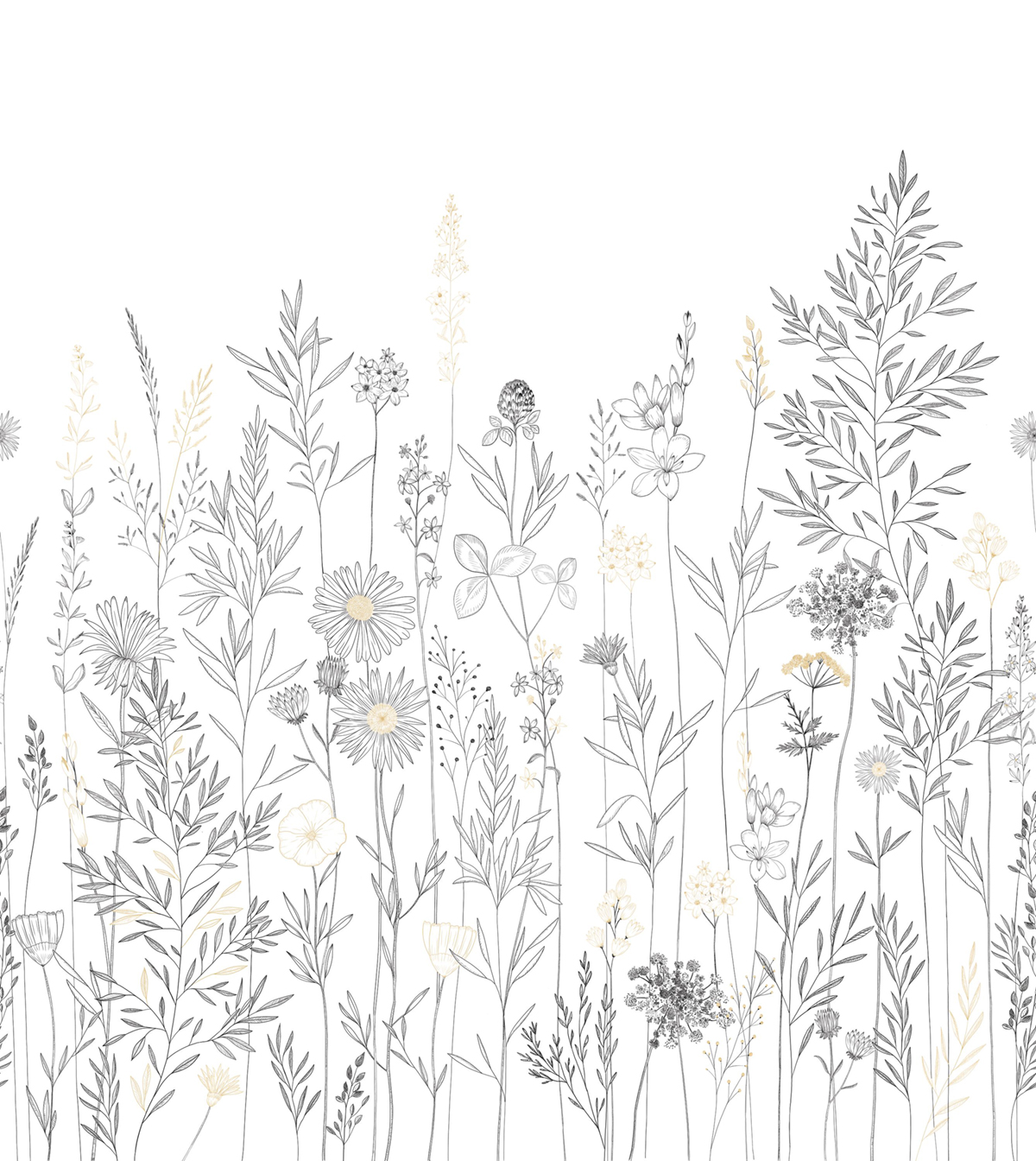 Papier peint panoramique Fleur Montmartre noir beige 250X280 - Color Box 3 de Casélio | Réf. CB3105920901