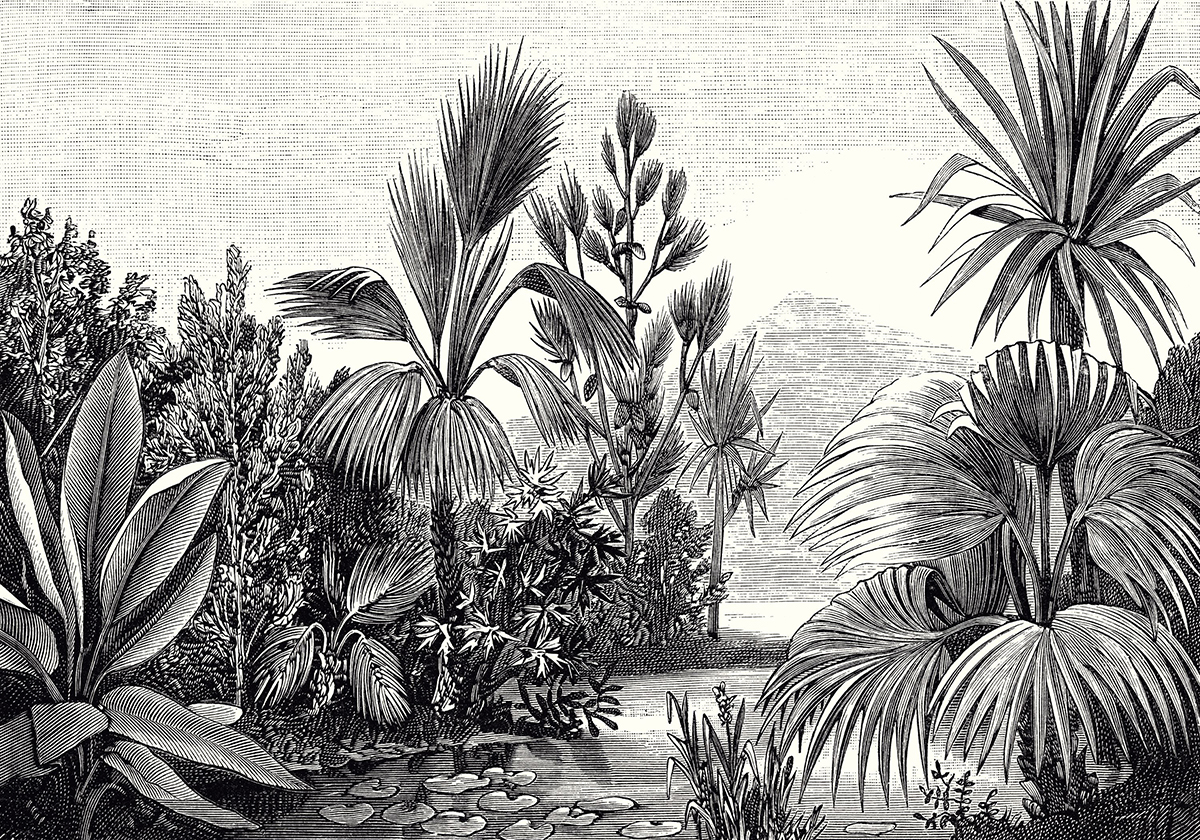 Papier peint panoramique Tropical Balade Sauvage noir et blanc - Beauty Full Image 2 de Casadéco | Réf. BFM102609009