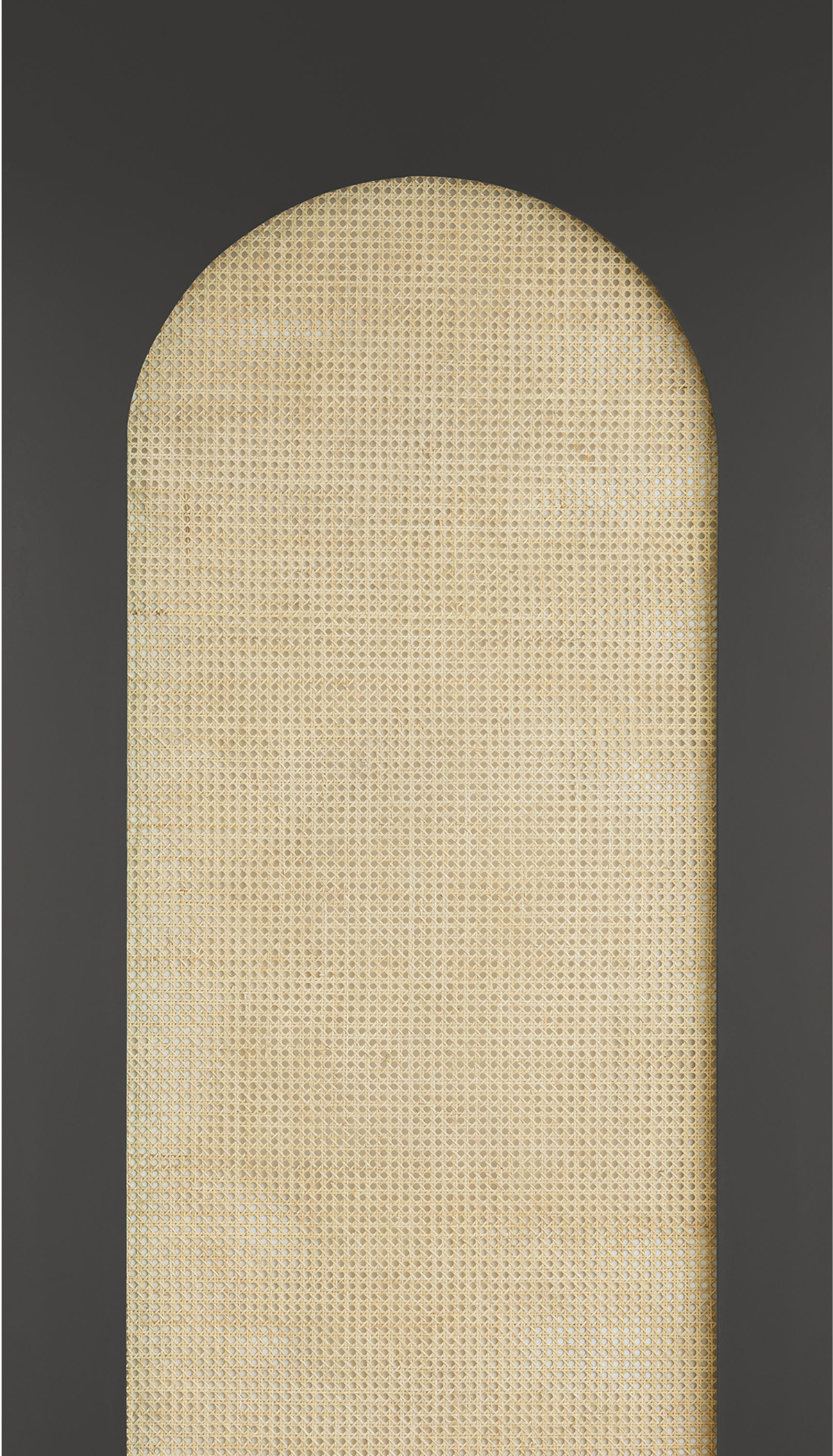 Papier peint panoramique Arche Cannage en Rotin anthracite M 159X280 - Reliefs de Casélio | Réf. RLF106209035