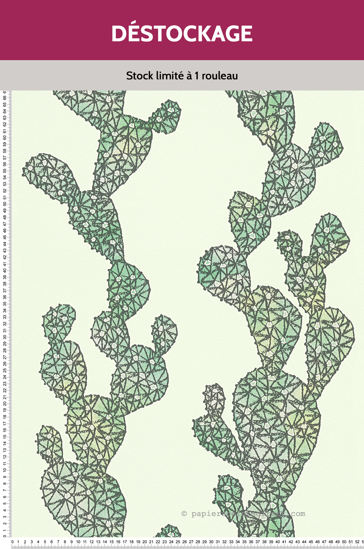 Papier Peint Destockage - Cactus vert
