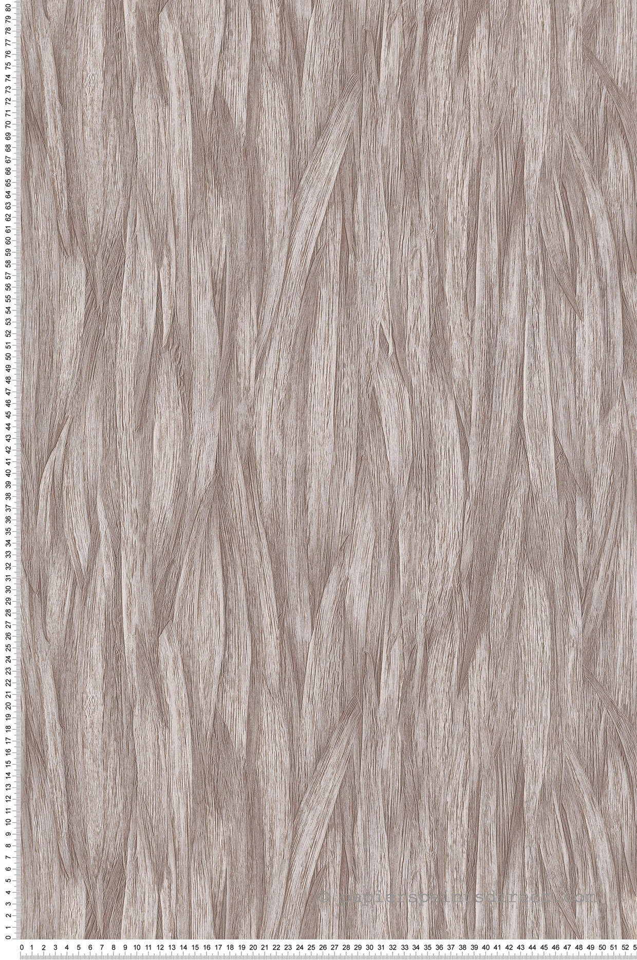 Papier peint Feuillage Aloes grège - Folium de Montecolino | Réf. MC-FO17918