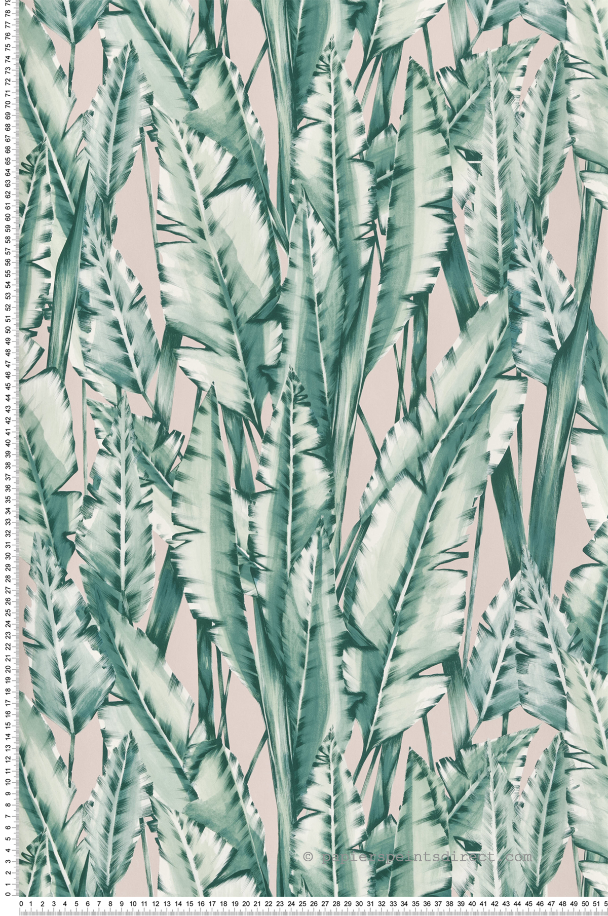 Papier peint Feuille Tiger Leaf blush  - Folium de Osborne & Little | Réf. OSB-W7333-01