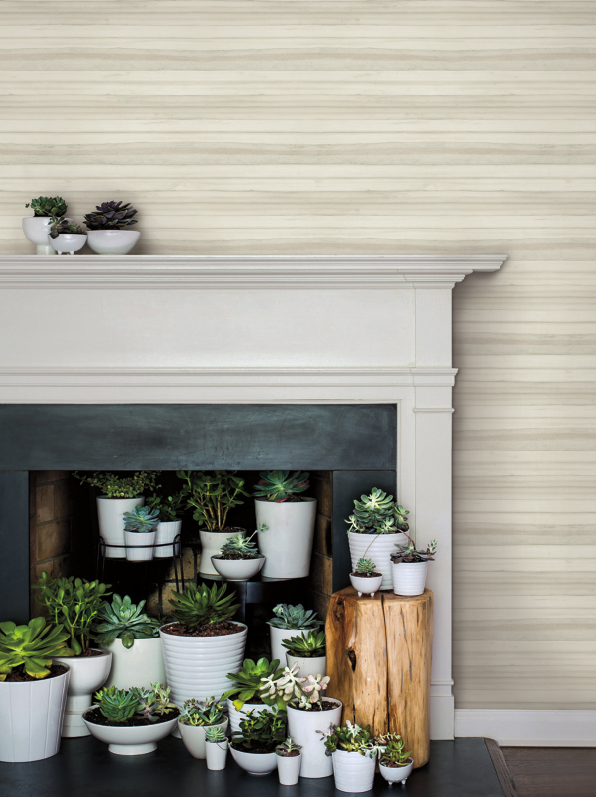 Papier peint Lamelle d'Écorce beige - Greenhouse de York (Initiales) | Réf. INI-GO8265