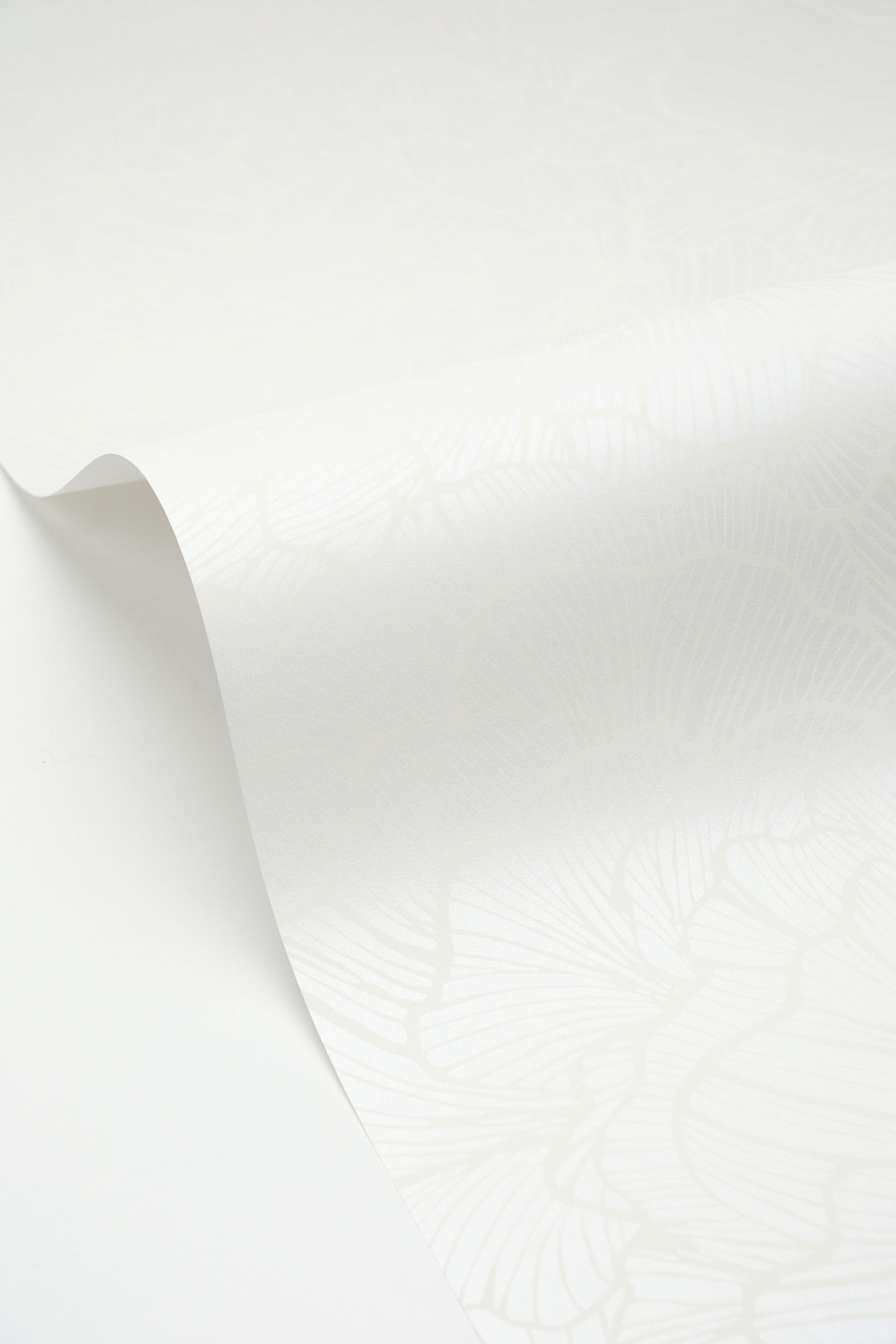 Papier peint Fleur Delicate Petals blanc nacré - Moonlight 3 de Casélio ZOOM | Réf. MNL3107080063