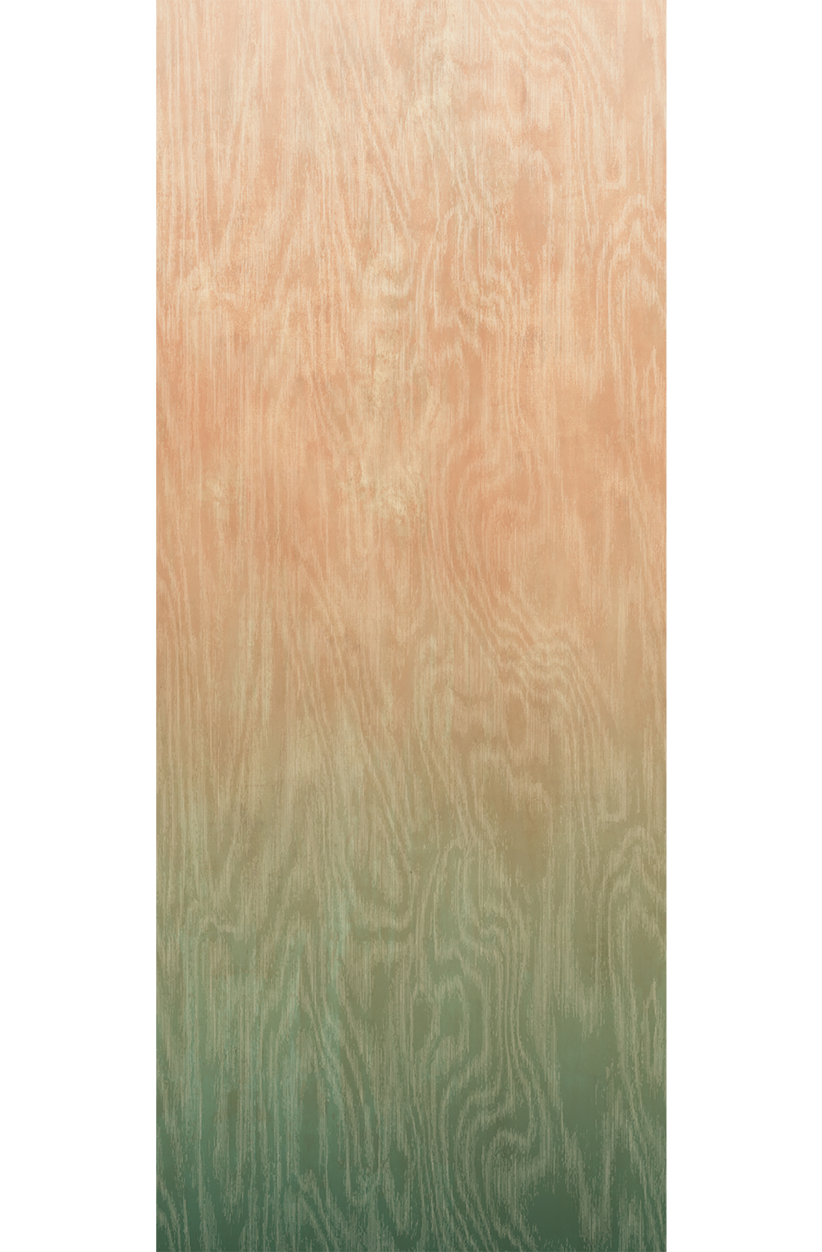 Papier peint panoramique Dégradé Moiré Bois corail vert - C H260 - Wall Designs IV de Masureel | Réf. MAS-DG4MOI1083-260