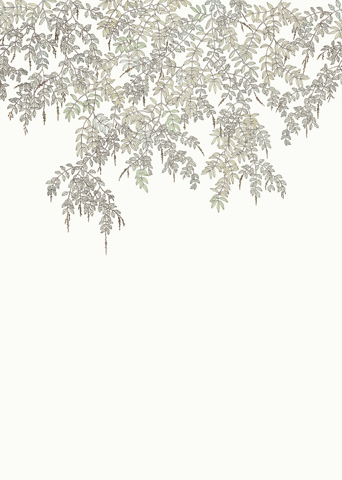 Papier peint panoramique Feuillage Falling Petals vert d'eau 200X280 - Art of Botany de Casélio | Réf. AOB106707003