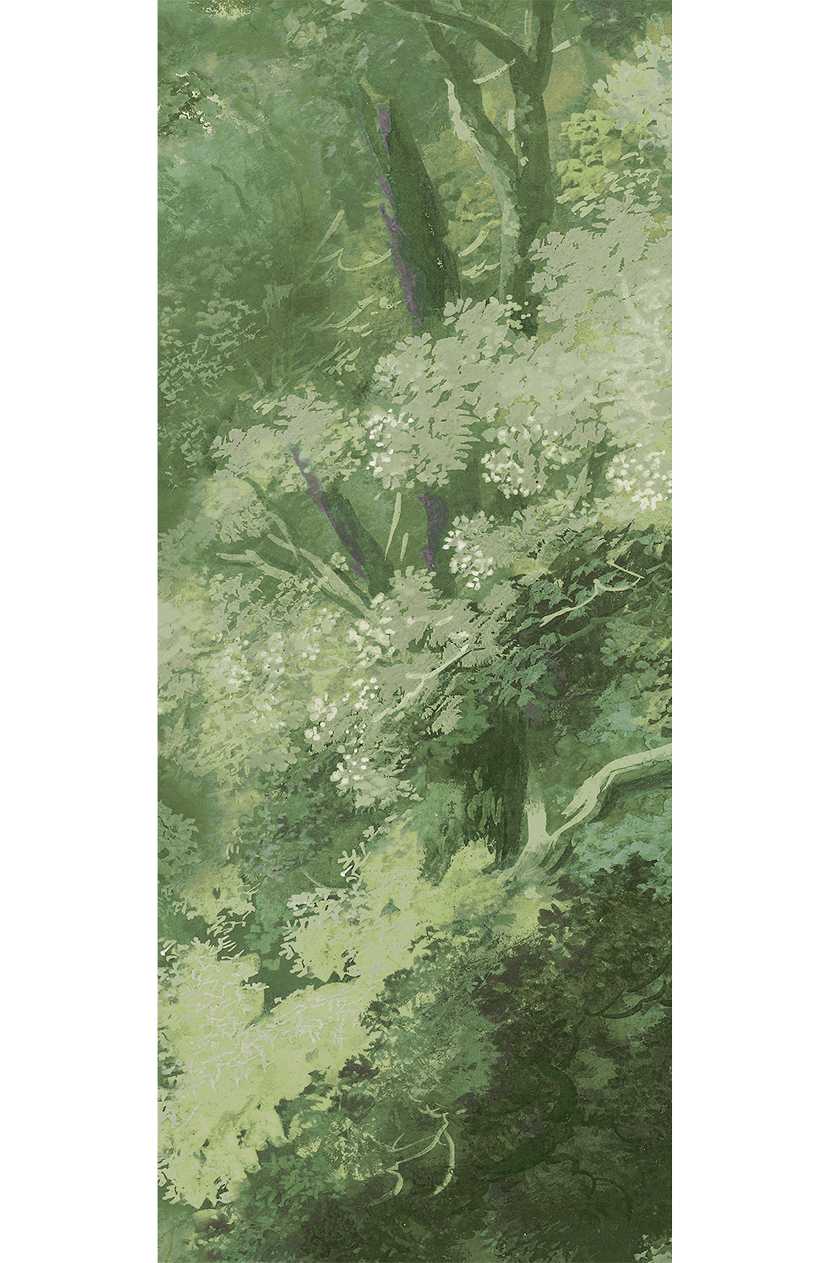 Papier peint panoramique Forêt vert - C H260 - Wall Designs IV de Masureel | Réf. MAS-DG4WOO1023-260