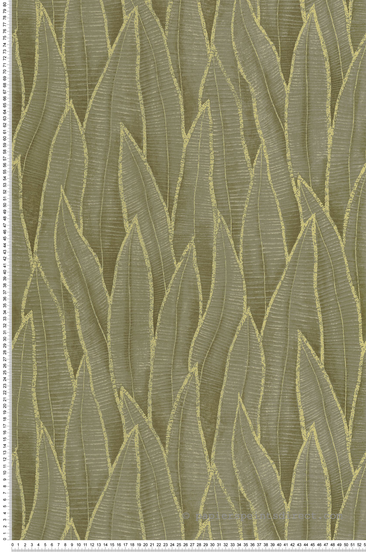 Papier peint Nature Feuille Sansevieria vert mousse - Rio de Casadéco | Réf. RIOC201837807