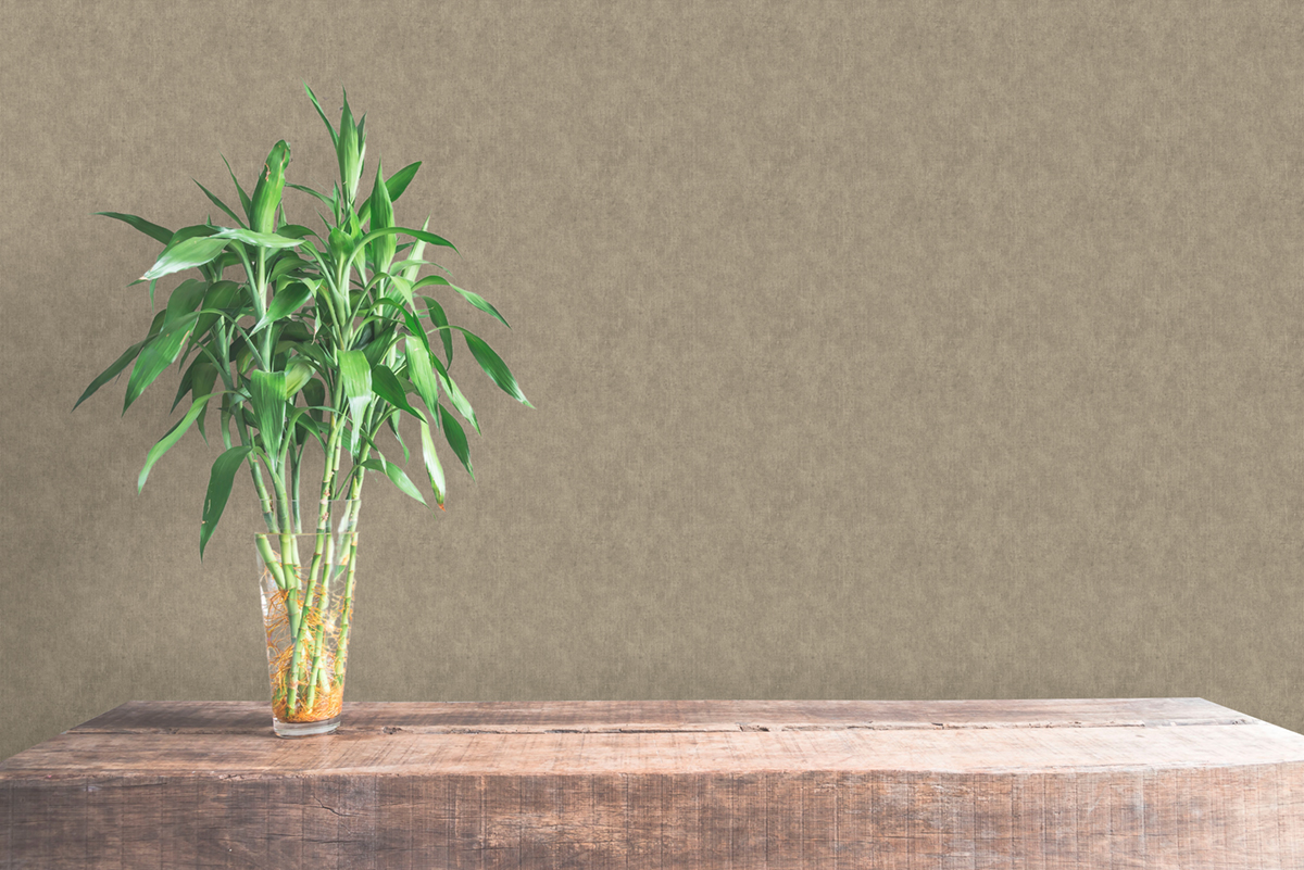 Papier peint Faux Uni Tissage marron clair - Shamal de Montecolino | Réf. MC-NHW1007