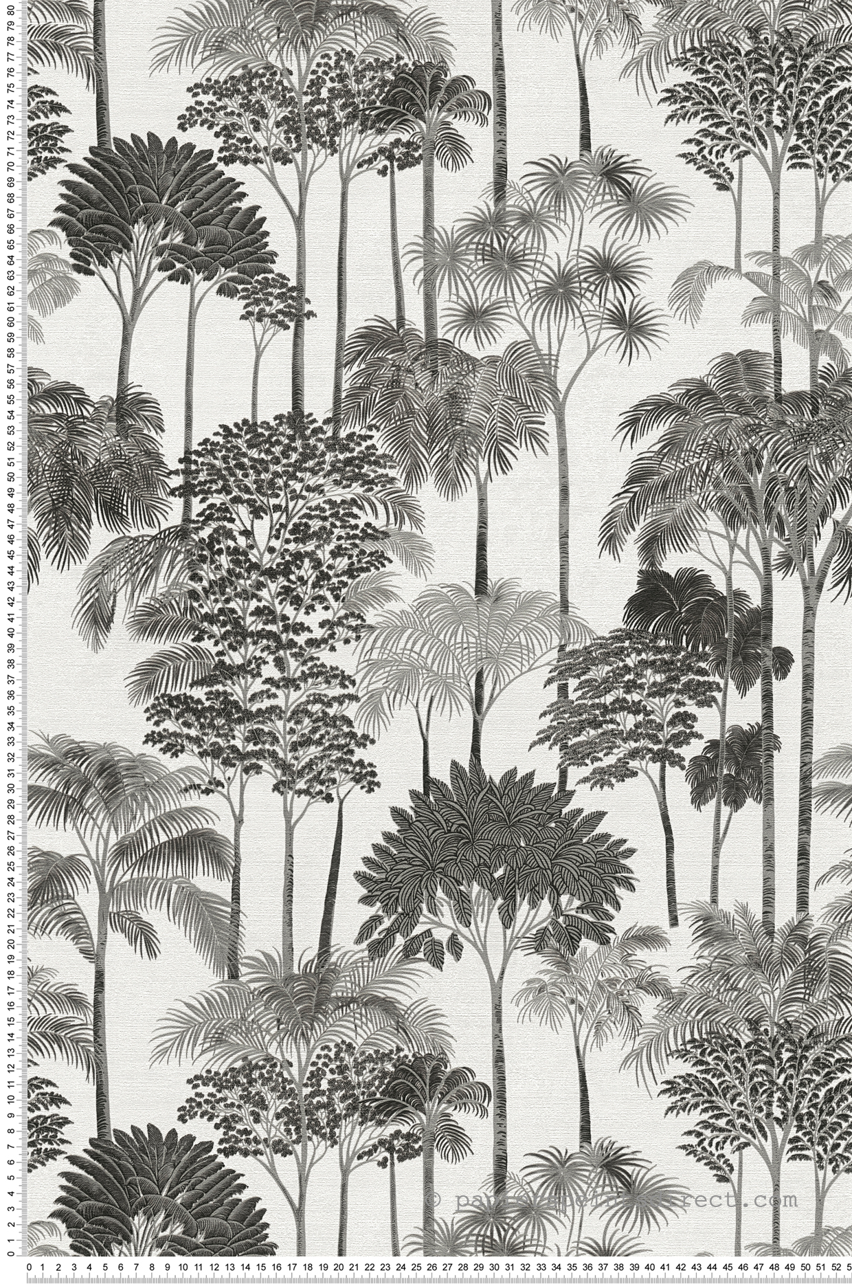 Papier peint Palmeraie Arbre Jungle noir et blanc - Cuba 2 d'A.S. Création | Réf. AS-791625