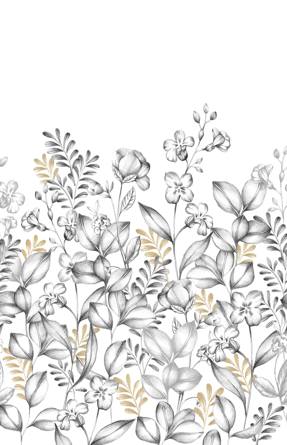 Papier peint Panoramique Prairie Florale Florescence noir et blanc 200X310 - Moonlight 3 de Casélio | Réf. MNL3107280904