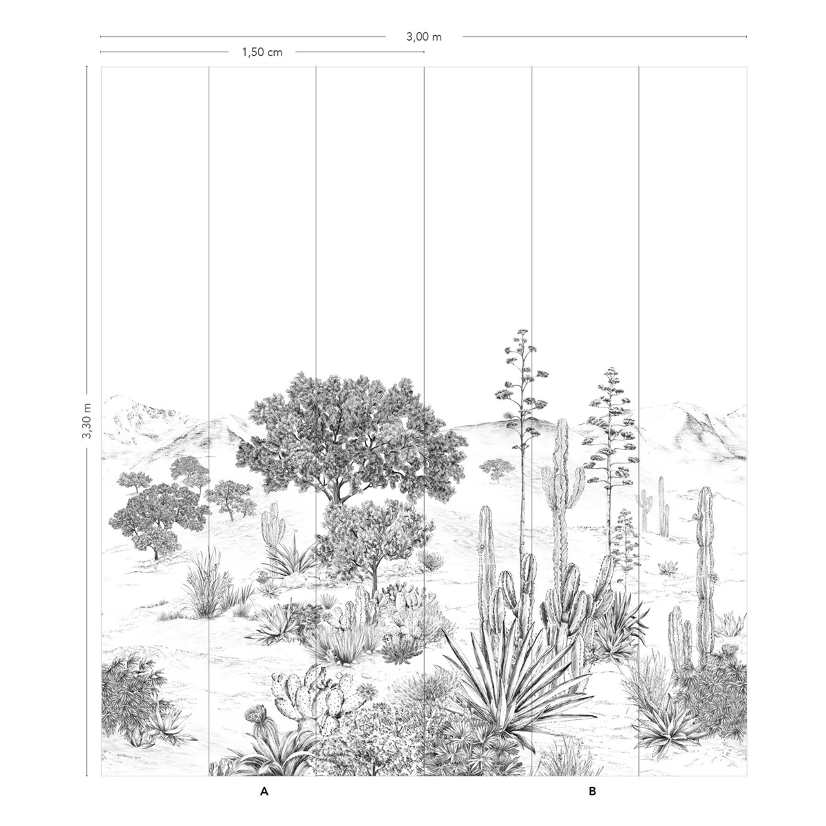 Papier peint panoramique Cactus Succulentes Grisaille A+B - 1/2/3/4/5/6 - Isidore Leroy