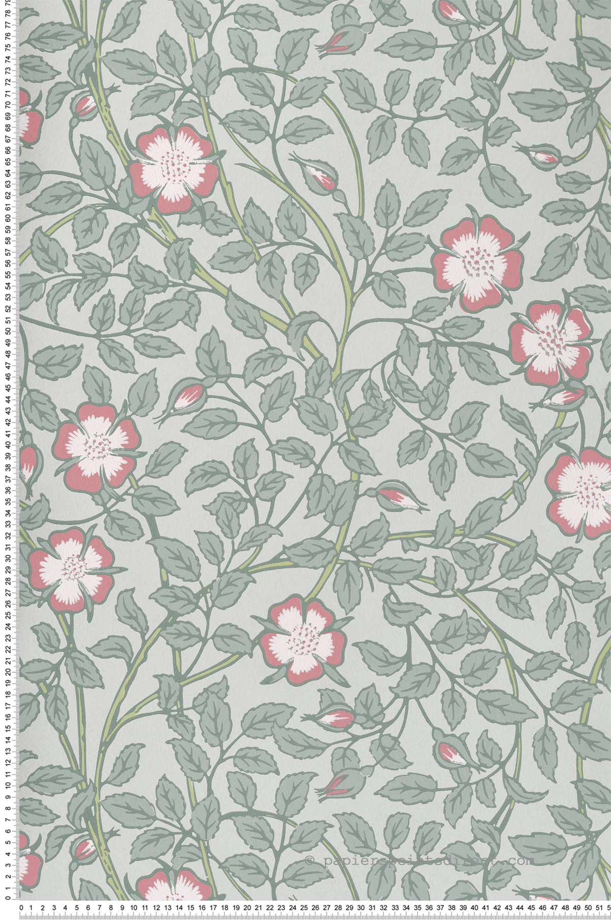 Papier peint Fleurs Briar Rose Salix - National Trust Papers 3 de Little Greene | Réf. 0263BRSALIX