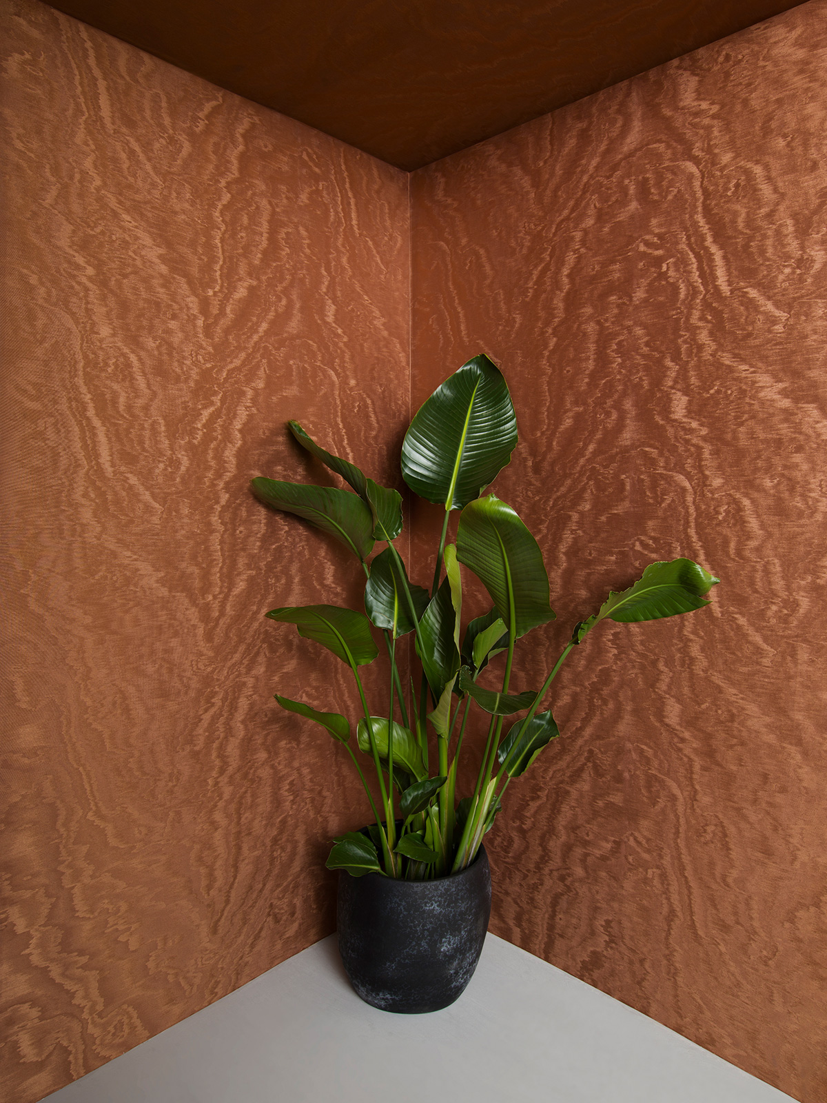 Papier peint Moiré Strie cuivré - Eclectic de Montecolino | Réf. MC-34926