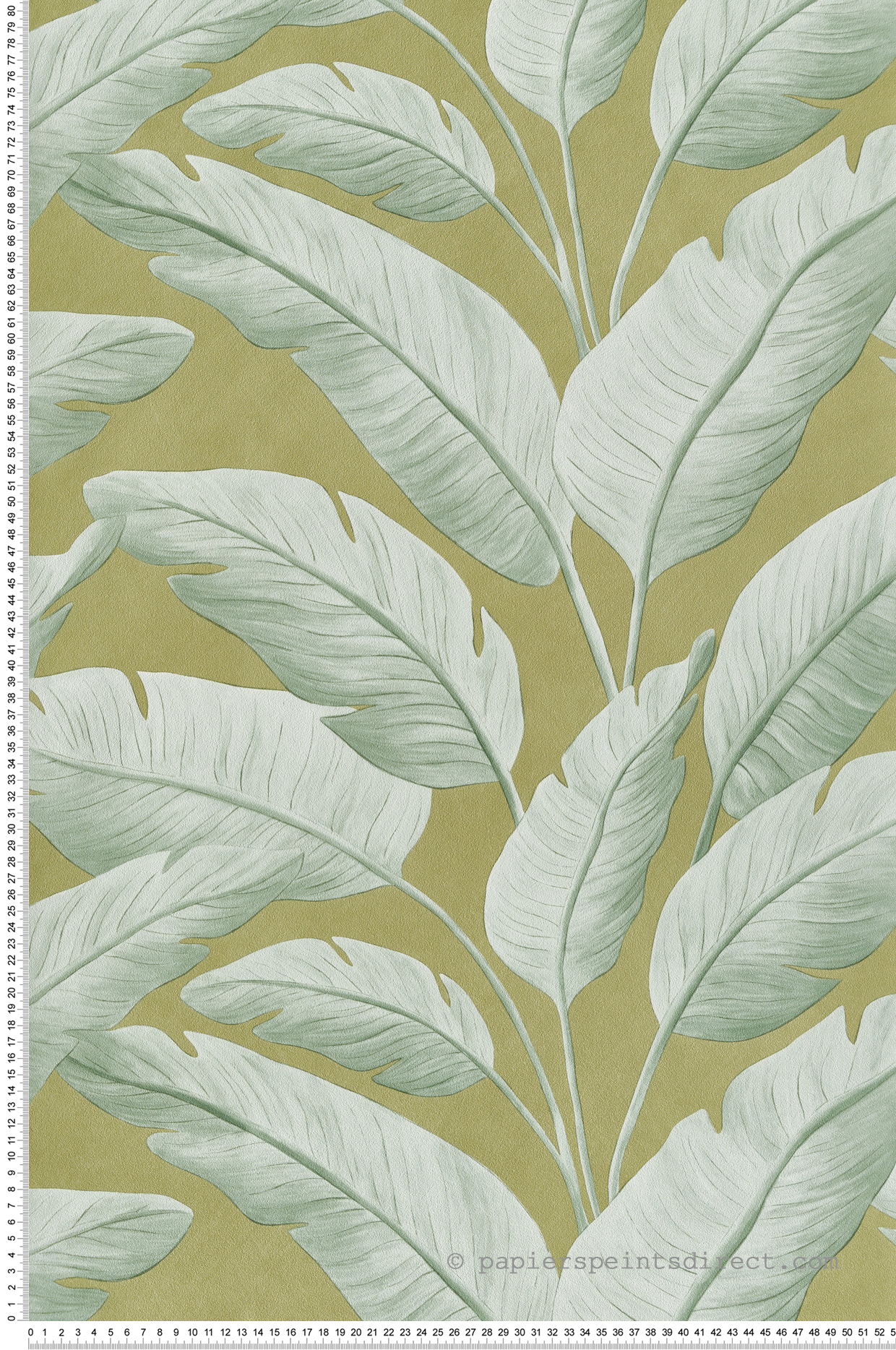 Papier peint Palmes Bananier Tropicalia kaki - Borneo de Casélio | Réf. BORN106547122