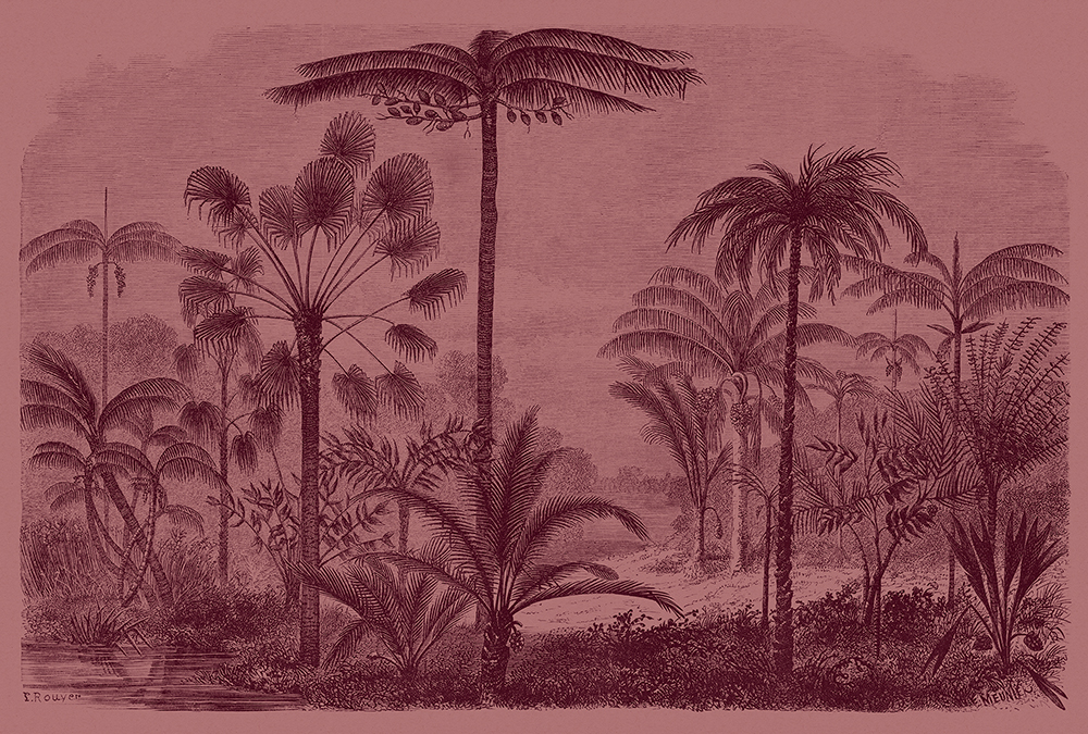 Papier peint panoramique Palmier Jungle Jurassic 2 - Référence DD113692 - Intissé 200g/m2 - Standard 400 x 270