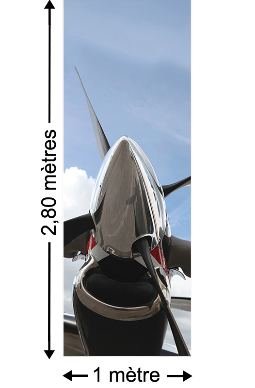 Time Flies - Papier peint lé unique