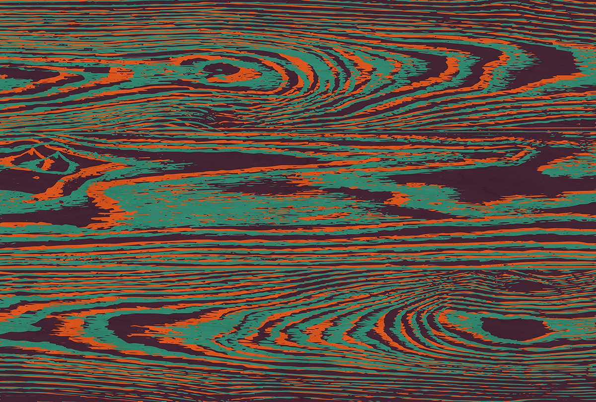 Papier peint panoramique Walls by Patel 3 - Référence DD122576 - Intissé 200g/m2 - 400 x 270 cm