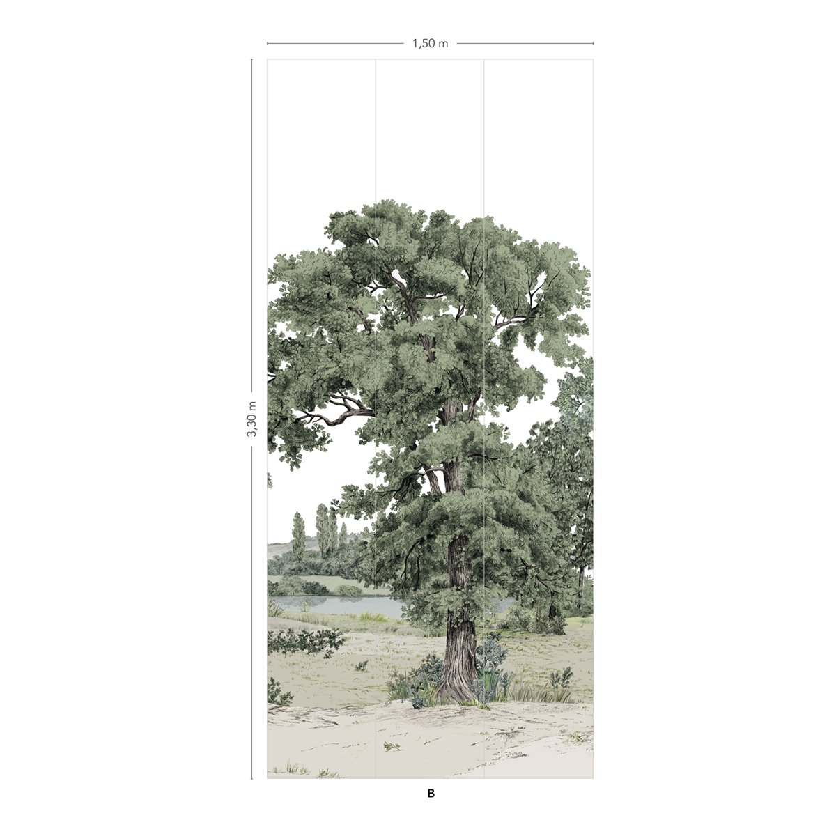 Papier peint panoramique Paysage Domaniale Noir et Blanc B - 4/5/6 AMBr - Isidore Leroy