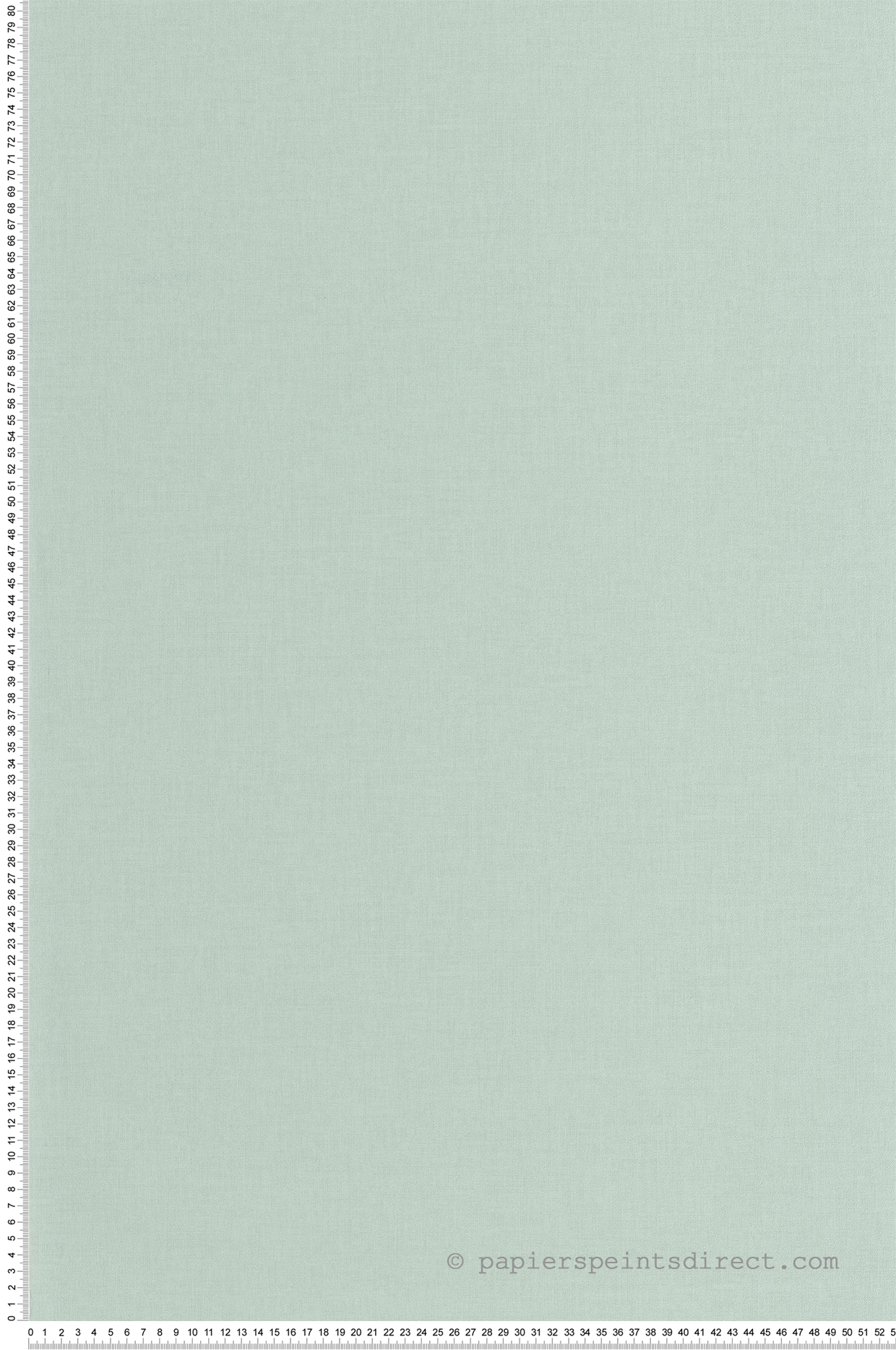 Papier peint Uni vert gris - Outlines de Casélio | Réf. OTLS64527834