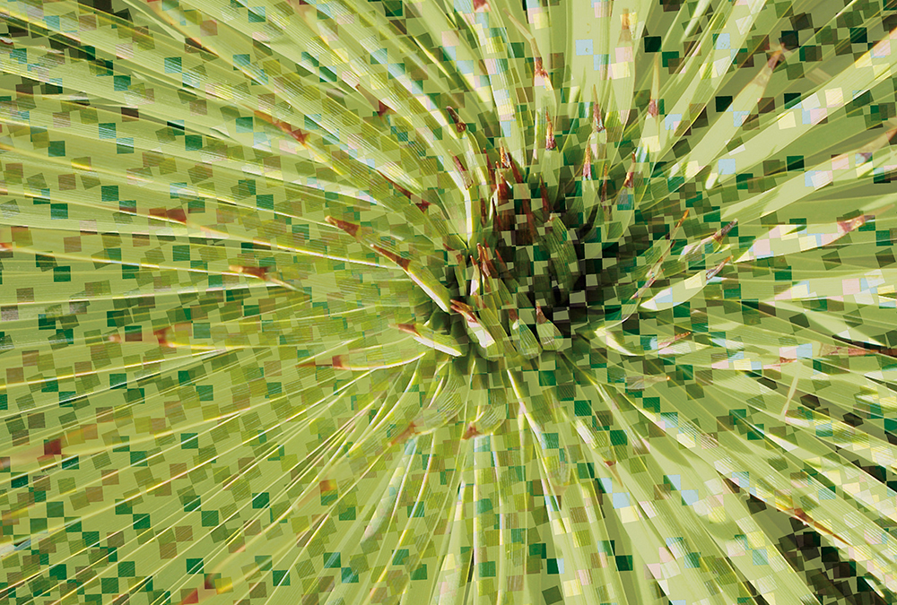 Papier peint panoramique Fleur numérique - Référence APD-471-503-400x270 - Intissé 200g/m2 - Standard 400 x 270