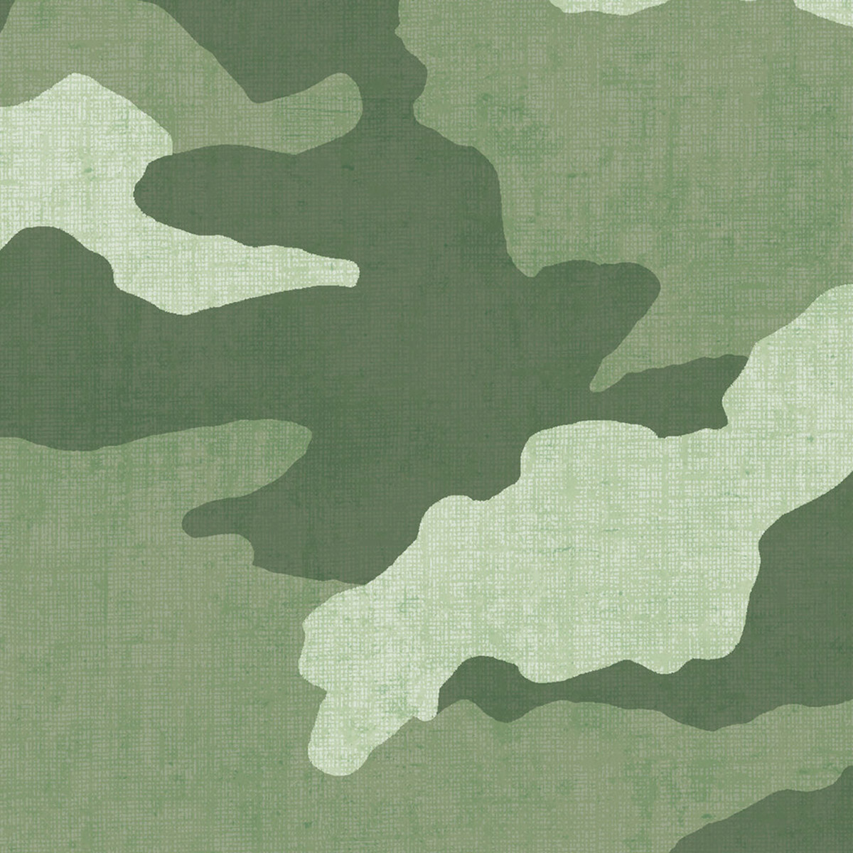 Papier peint Camouflage Militaire vert - Lilly & Luis d'A.S. Création AMB6 | Réf. AS-771731