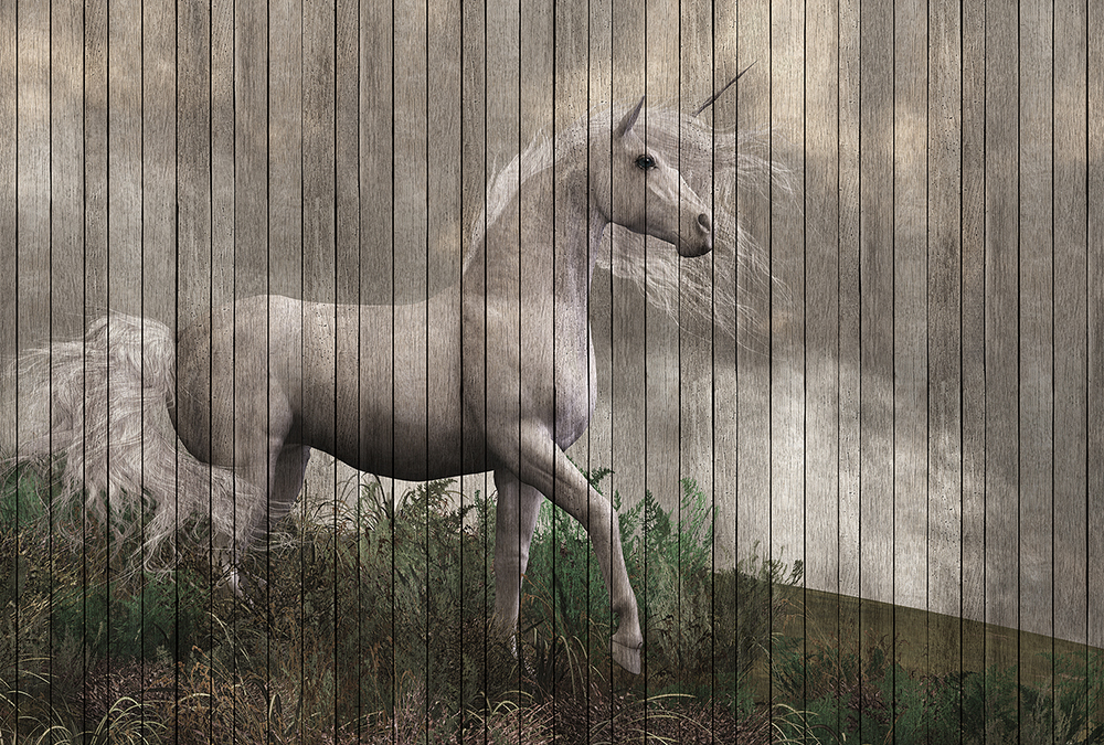 Papier peint panoramique Bois Licorne Fantasy 3 - Référence DD113957 - Intissé 200g/m2 - Standard 400 x 270