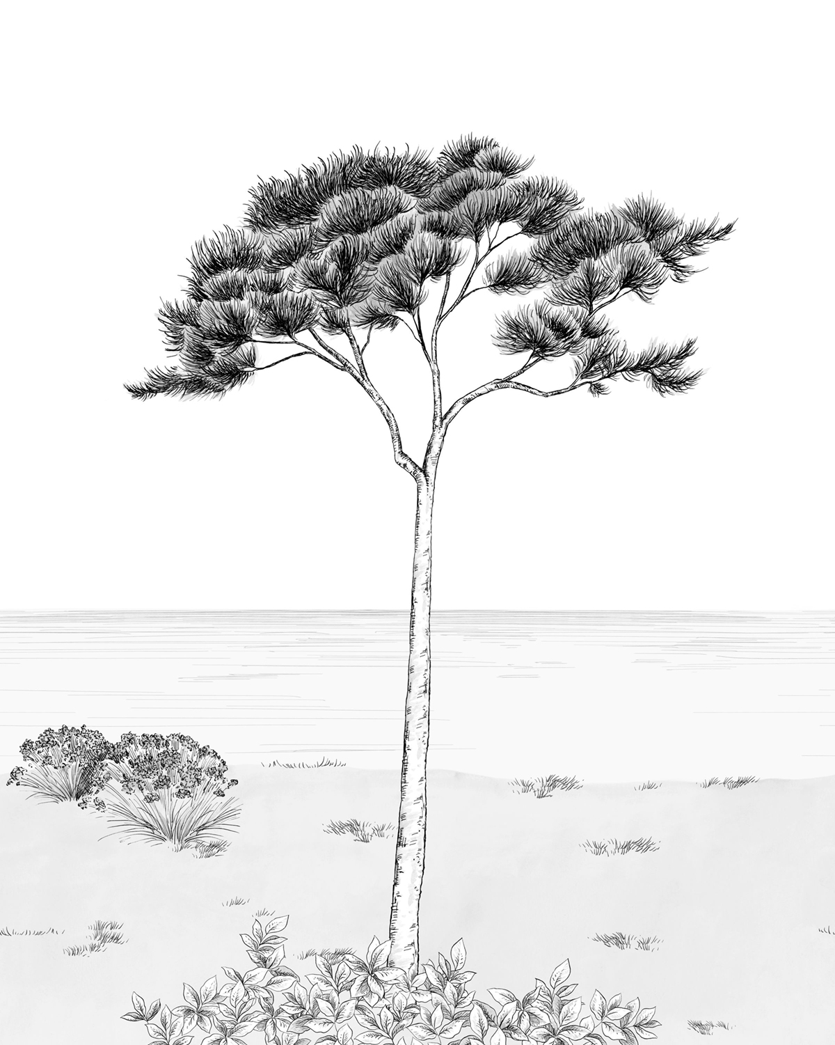 Papier peint panoramique Arbre Parfum de Pin S noir blanc 200X250 - Wonderwalls 2 de Casadéco | Réf. WDWD200029105