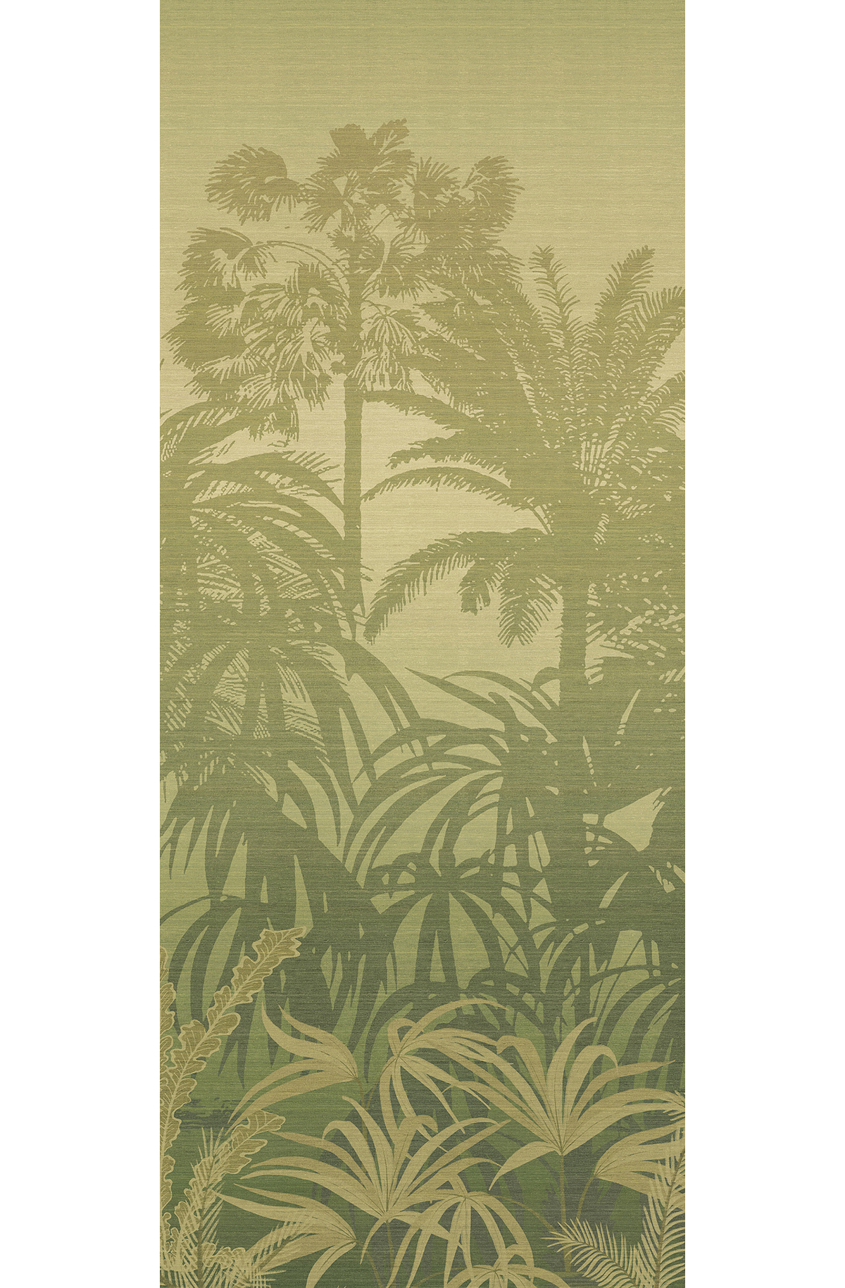 Papier peint panoramique Jungle Awarra vert - A H260 - Amazone de Masureel | Réf. MAS-DGZON1021-260