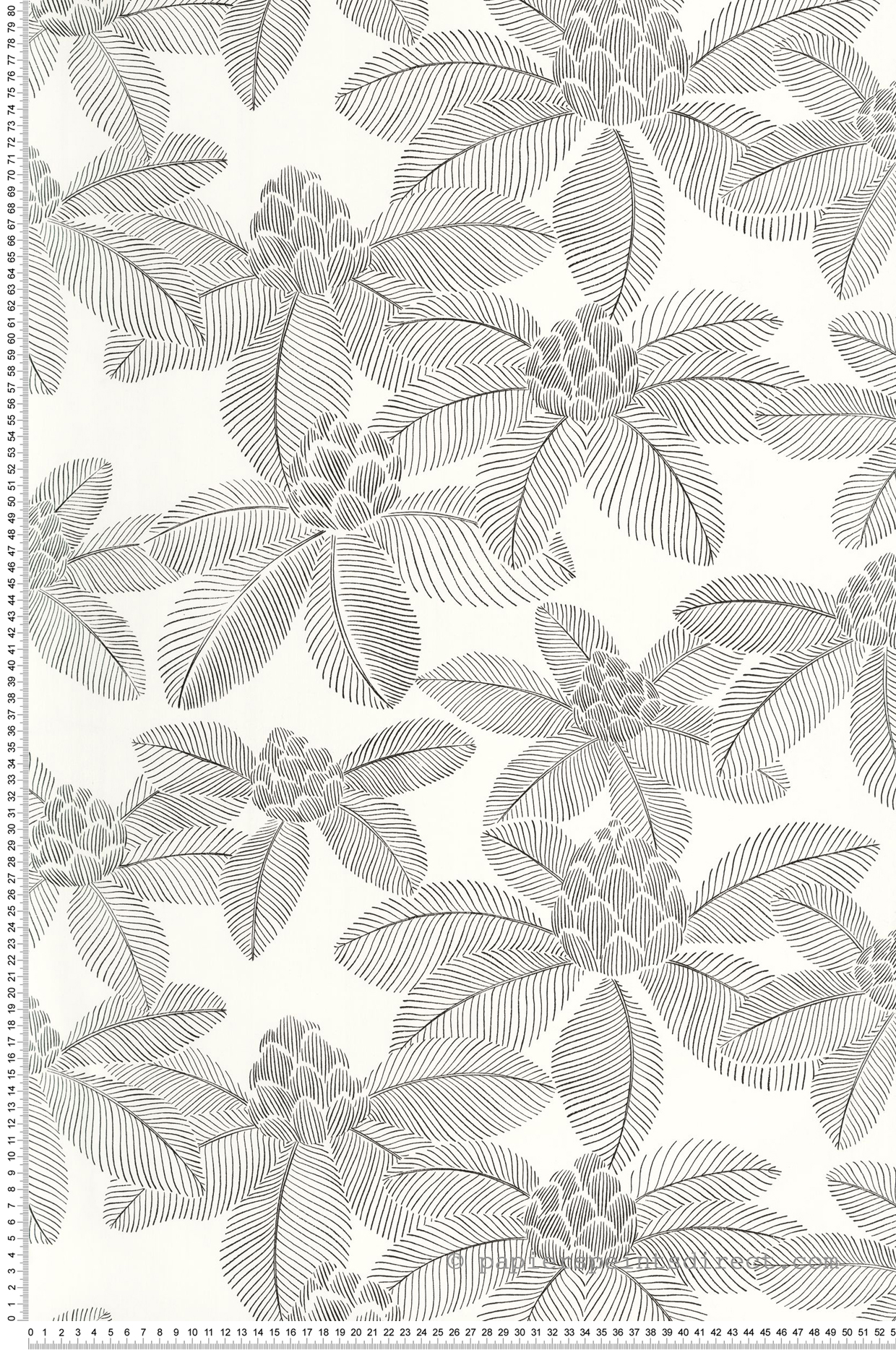 Papier peint Palmier Tropical Lotus noir et blanc - Art of Botany de Casélio | Réf. AOB106650956