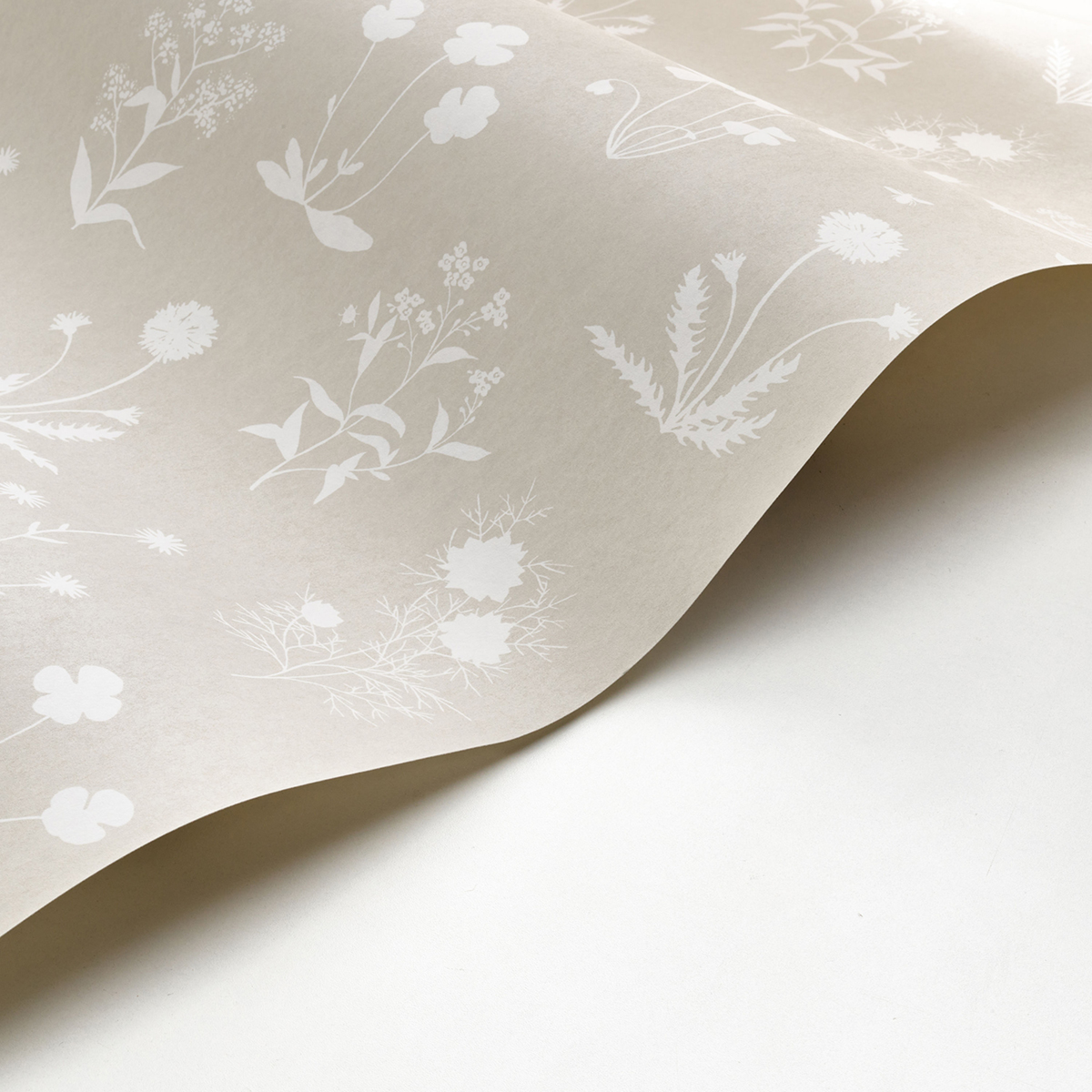 Papier peint Plante Herbier beige lin - Gardens de Casadéco | Réf. GADN87621218