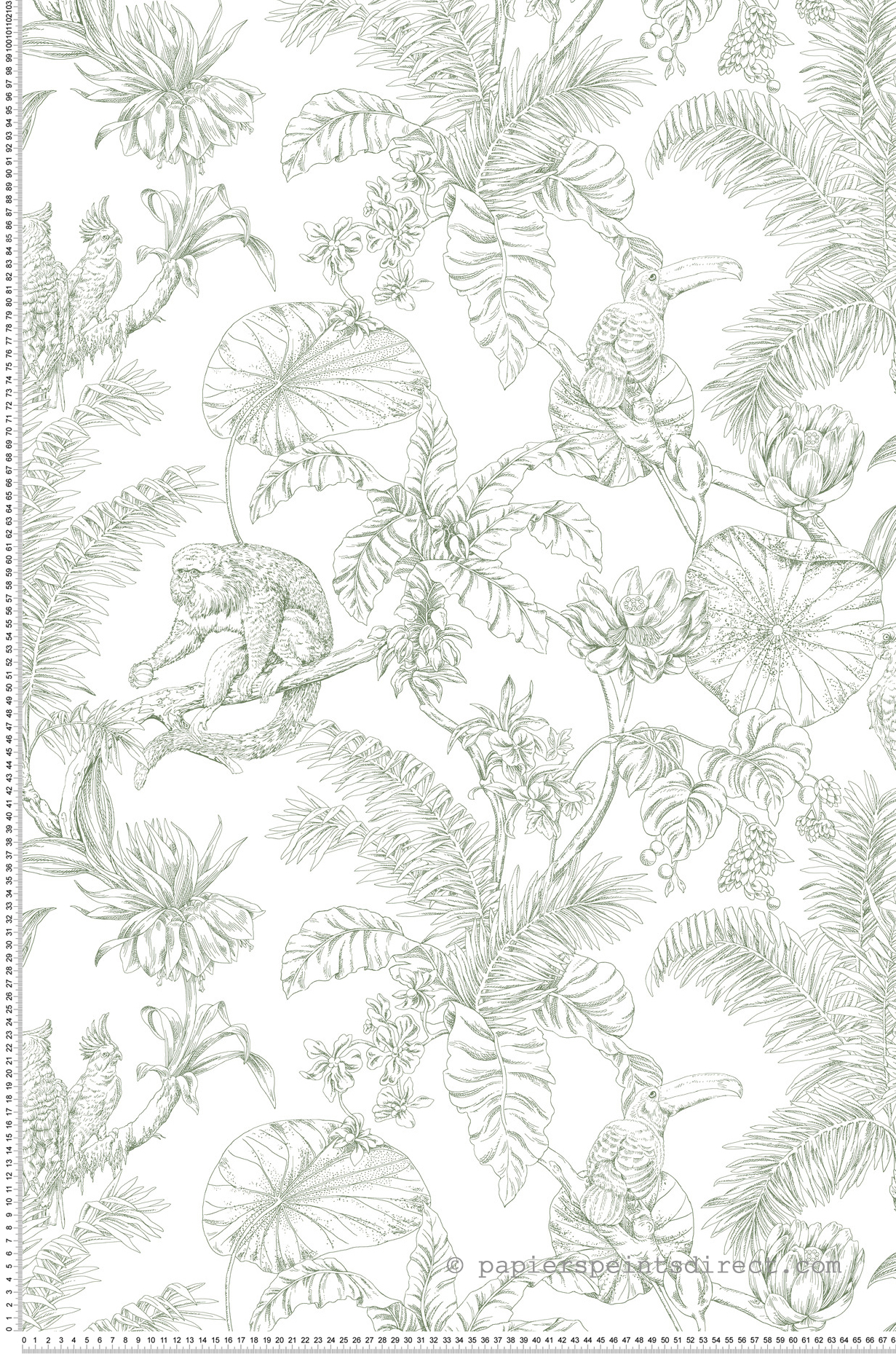 Papier peint Singe Toucan Tropical vert cyprès - Toiles de York (Initiales) | Réf. INI-RT7842