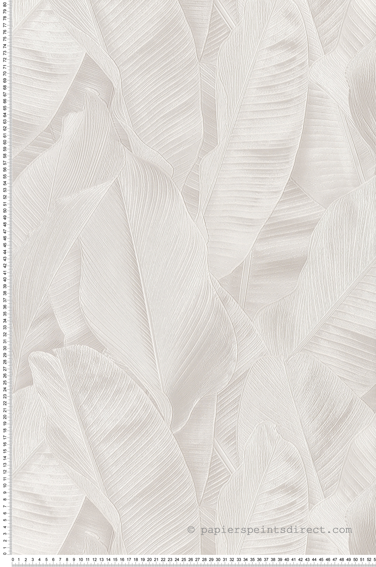 Papier peint Feuille Banana gris - Folium de Montecolino | Réf. MC-FO17821