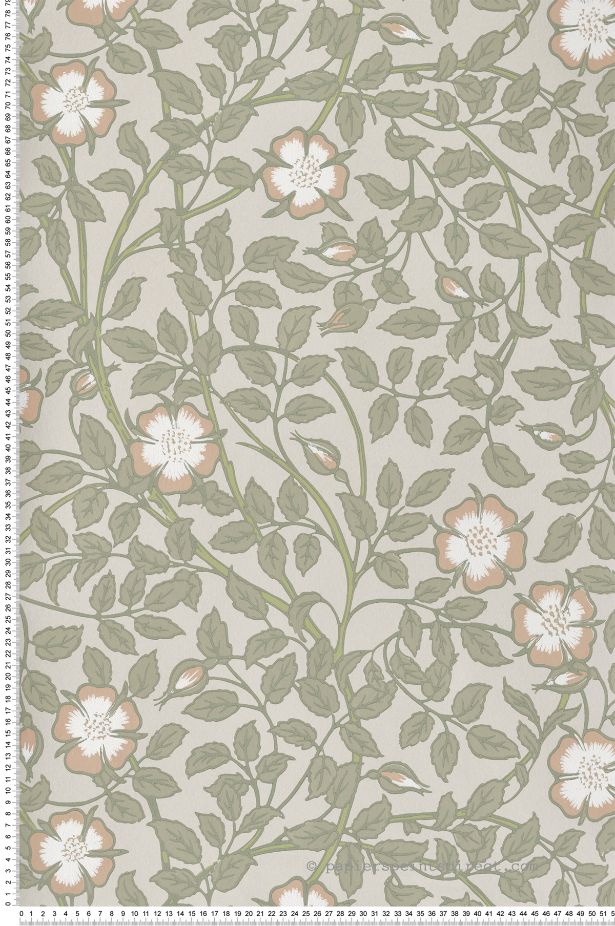 Papier peint Fleurs Briar Rose Green Mist - National Trust Papers 3 de Little Greene | Réf. 0263BRGMIST