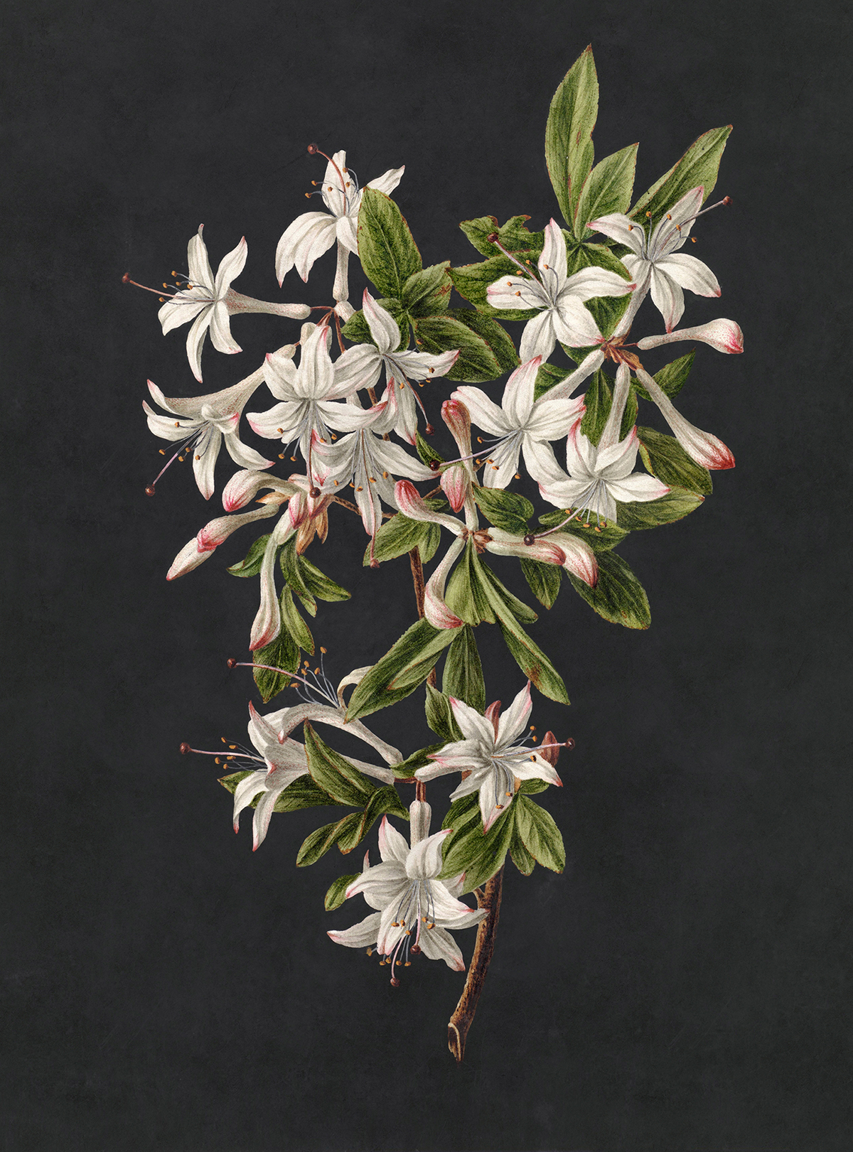 Papier peint panoramique Walls by Patel 3 - Référence DD122196 - Intissé 200g/m2 - 200 x 270 cm