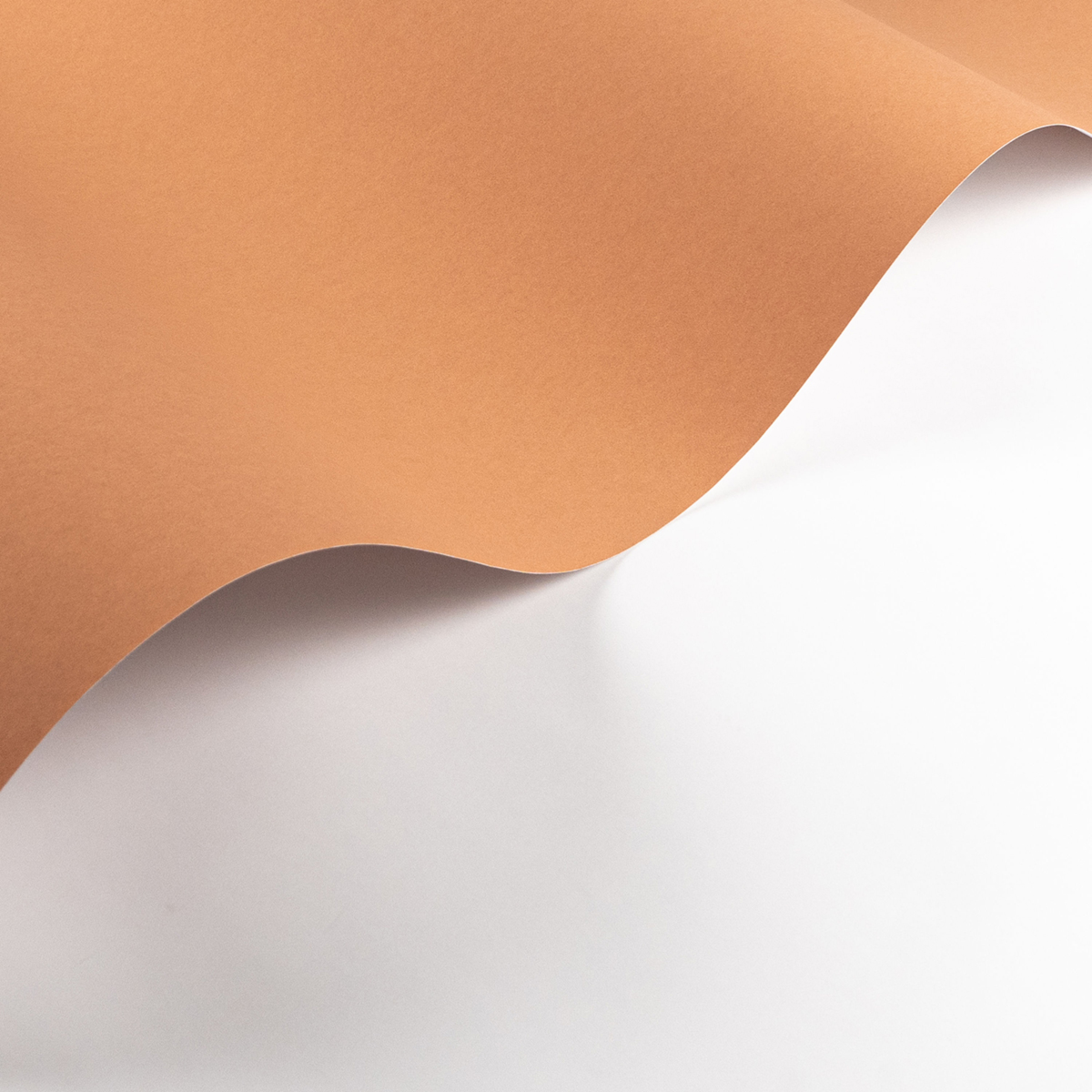 Papier peint Uni Pigments Buvard corail - Moulures & Co de Casadéco AMB2 | Réf. MOCO200333320