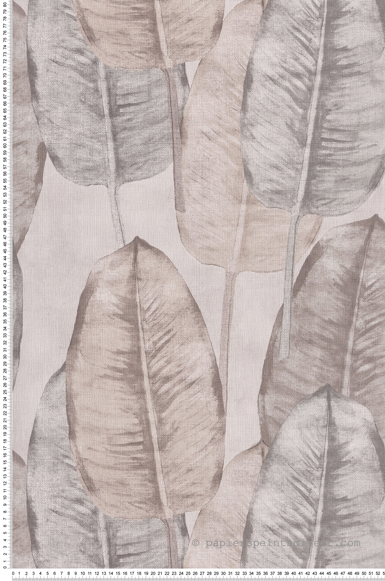 Papier peint Feuille de Bananier gris beige - Maori de Montecolino | Réf. MC-TA25080
