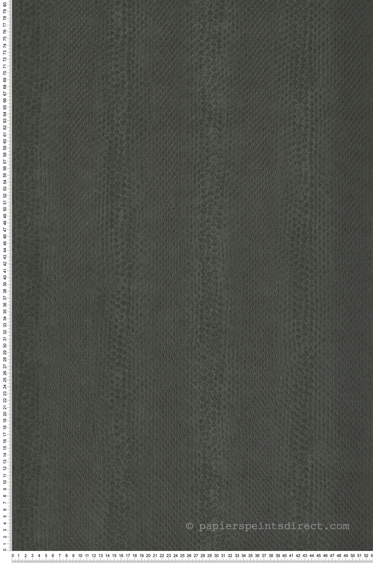 Papier peint Trompe l'oeil Ecaille Lézard vert sapin - Sauvage 2 de Lutèce | Réf. LTC-G67427