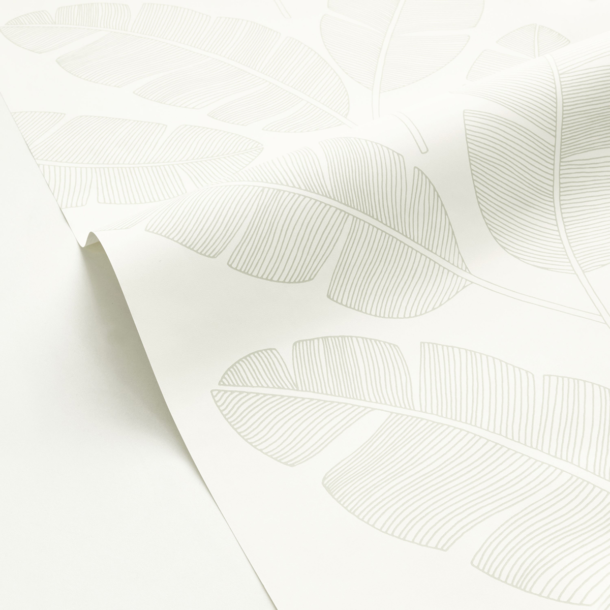 Papier peint Tropical Feuilles Banana Tree vert amande - Green & Co de Casélio | Réf. GCO101100723