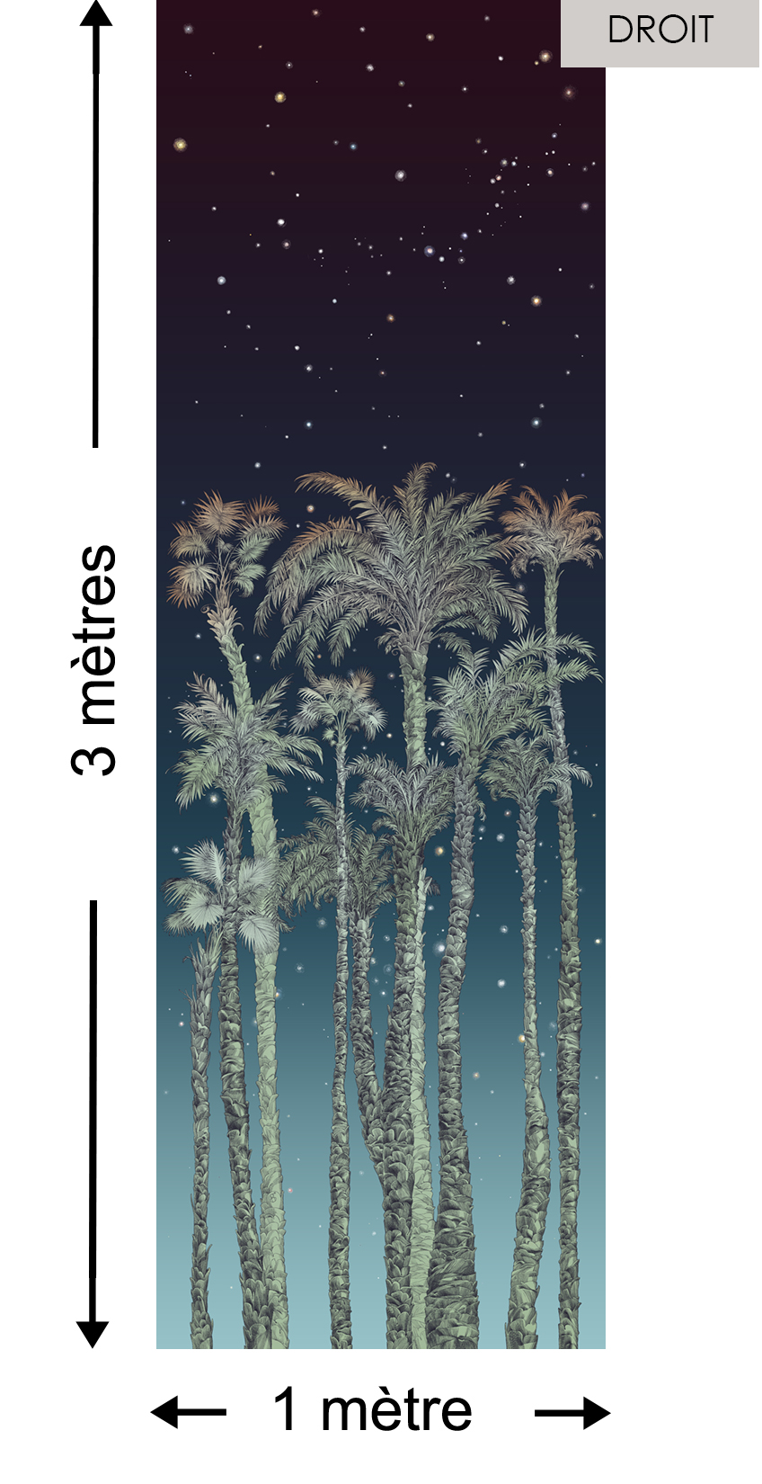 Nuit Etoilée DROITE Naturel - Collection Catherine Gran de Edmond Petit