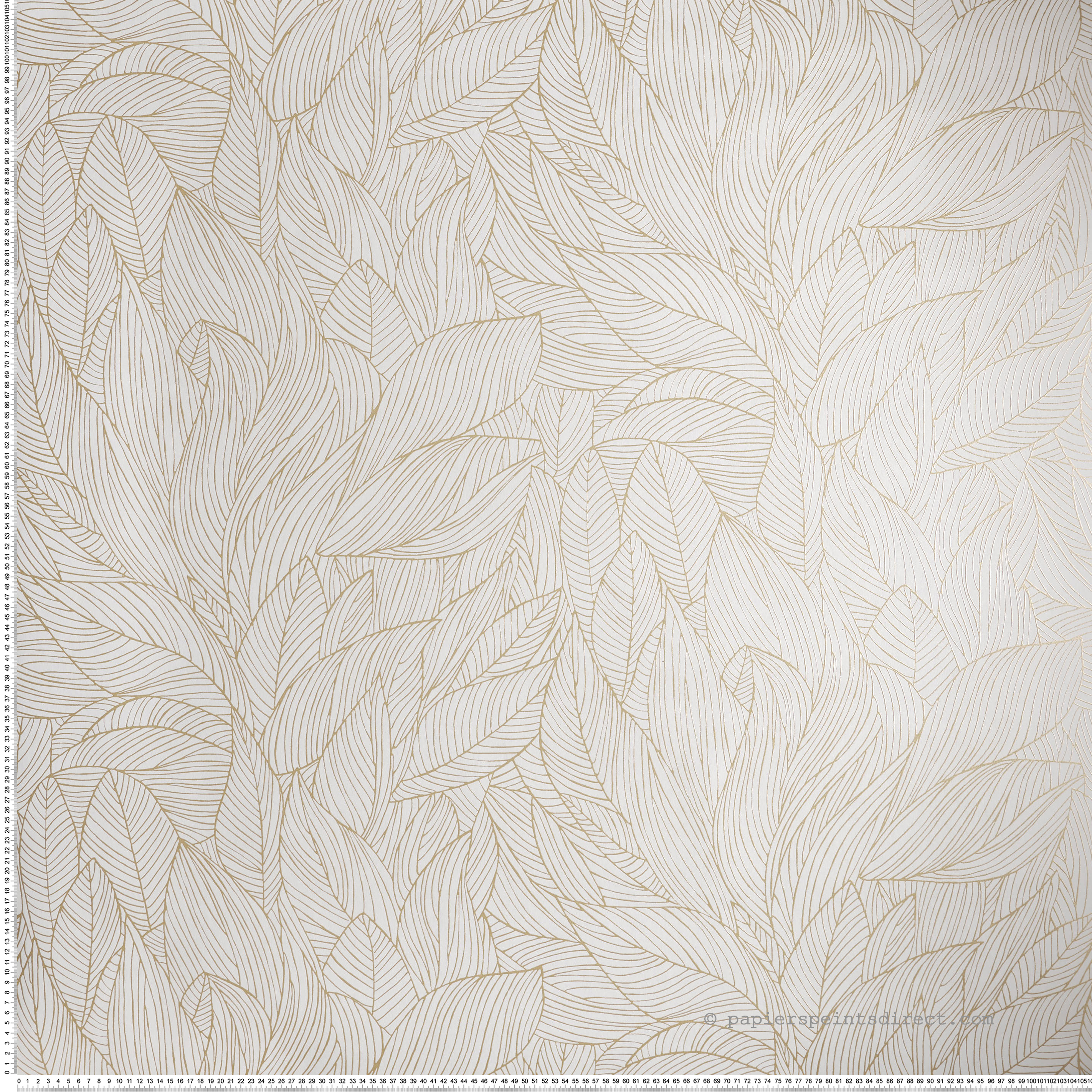 Papier peint Nervure de Feuille Hosta ivoire doré - Jardin Félicia de Casamance | Réf. CAS-76602140