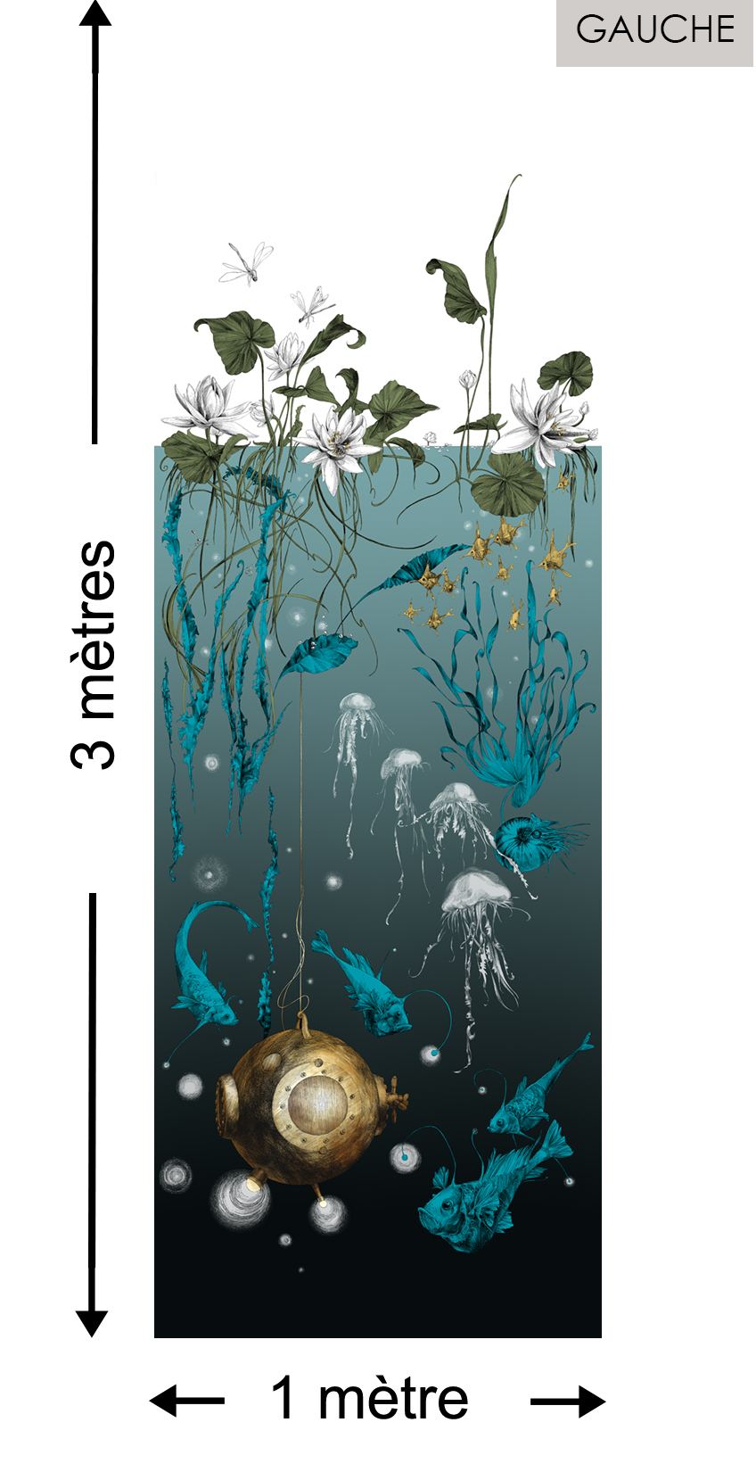 Nautilus DROIT Noir - Collection Catherine Gran de Edmond Petit