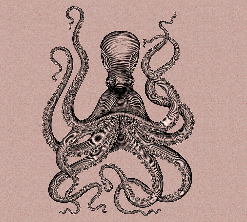 Papier peint panoramique Pieuvre Jules 1 - Référence DD114282 - Intissé 200g/m2 - Standard 300 x 270