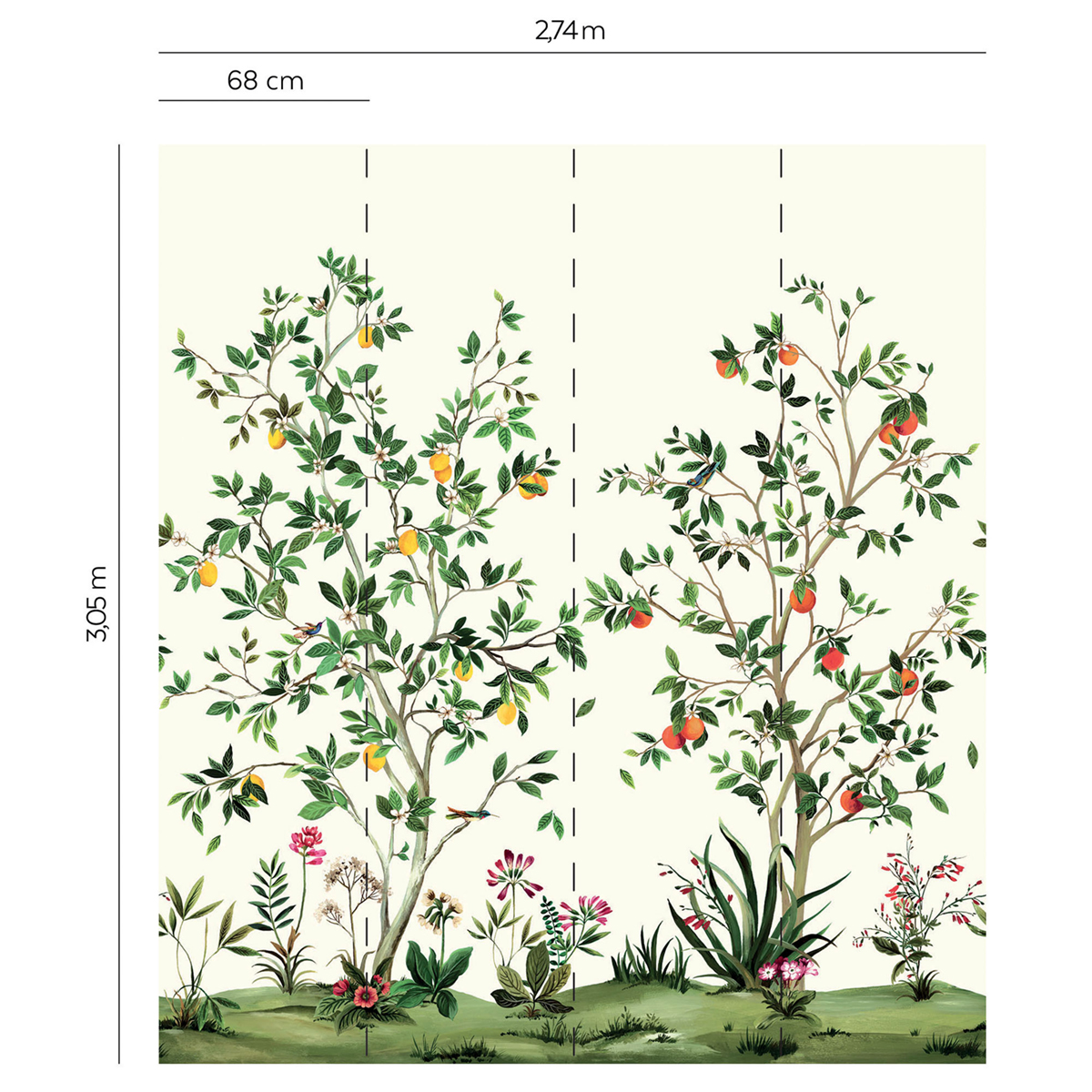 Papier peint panoramique Plantation d'Agrume blanc crème - Daisy Bennett d'Initiales | Réf. INI-DB30305M