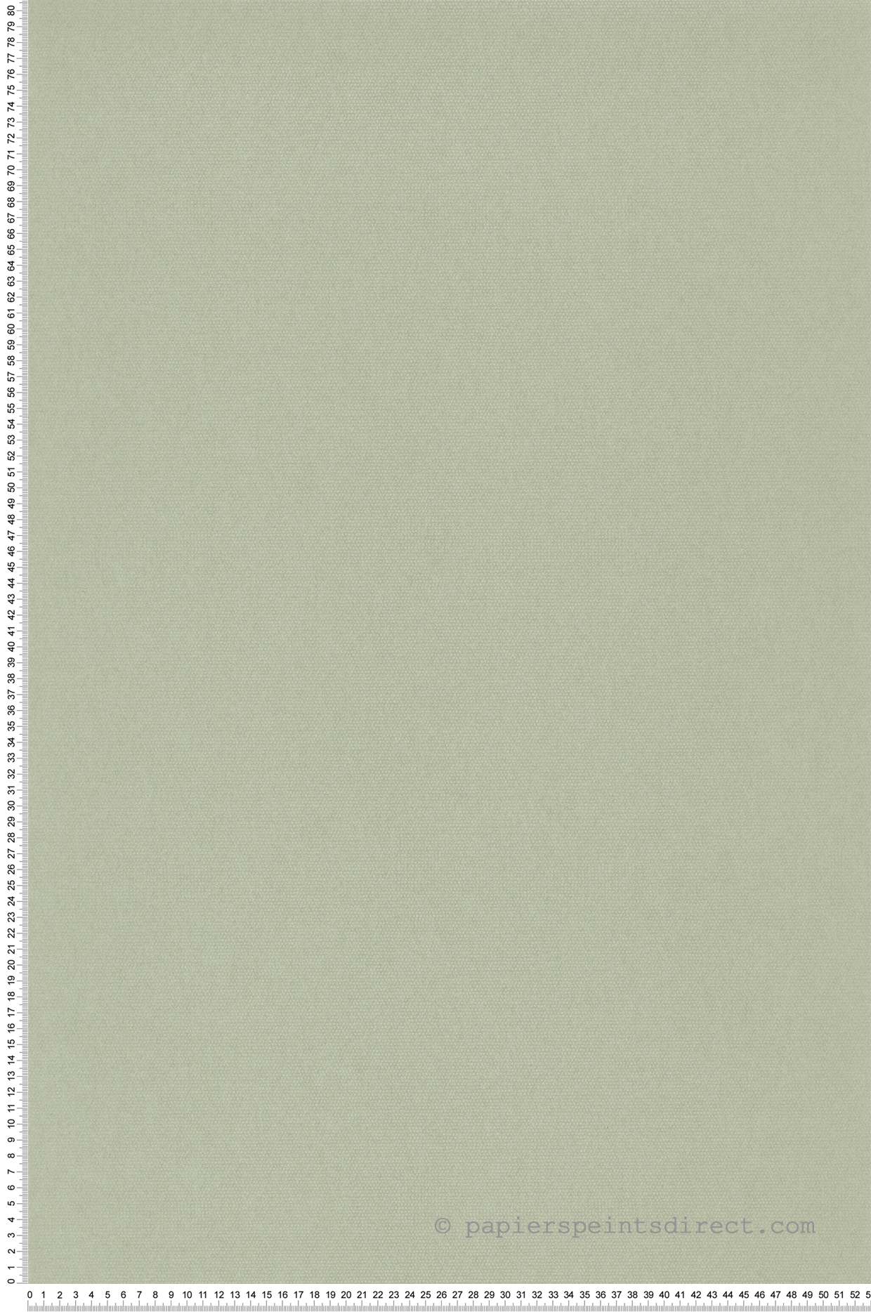 Papier peint Faux Uni Pois vert amande irisé - Derby de Casadéco | Réf. DERB82077159