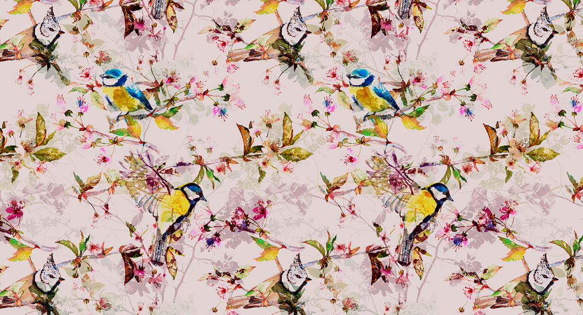 Papier peint panoramique Oiseau Songbirds 2 - Référence DD110231 - Intissé 200g/m2 - Standard 500 x 270